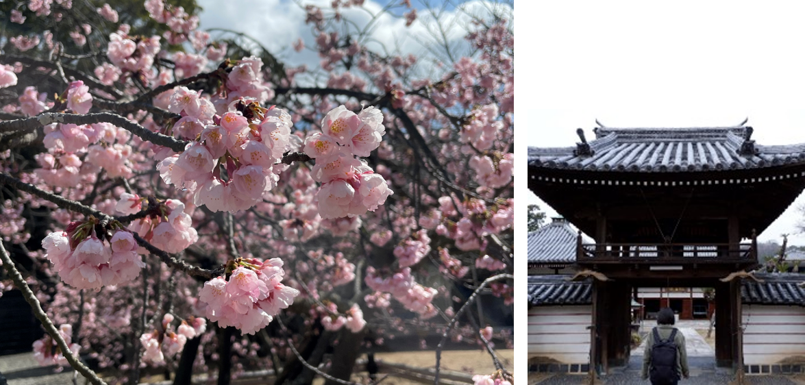 ©(一社)小豆島観光協会　