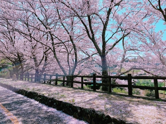 ©(一社)小豆島観光協会