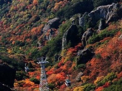 ©小豆島総合開発株式会社　