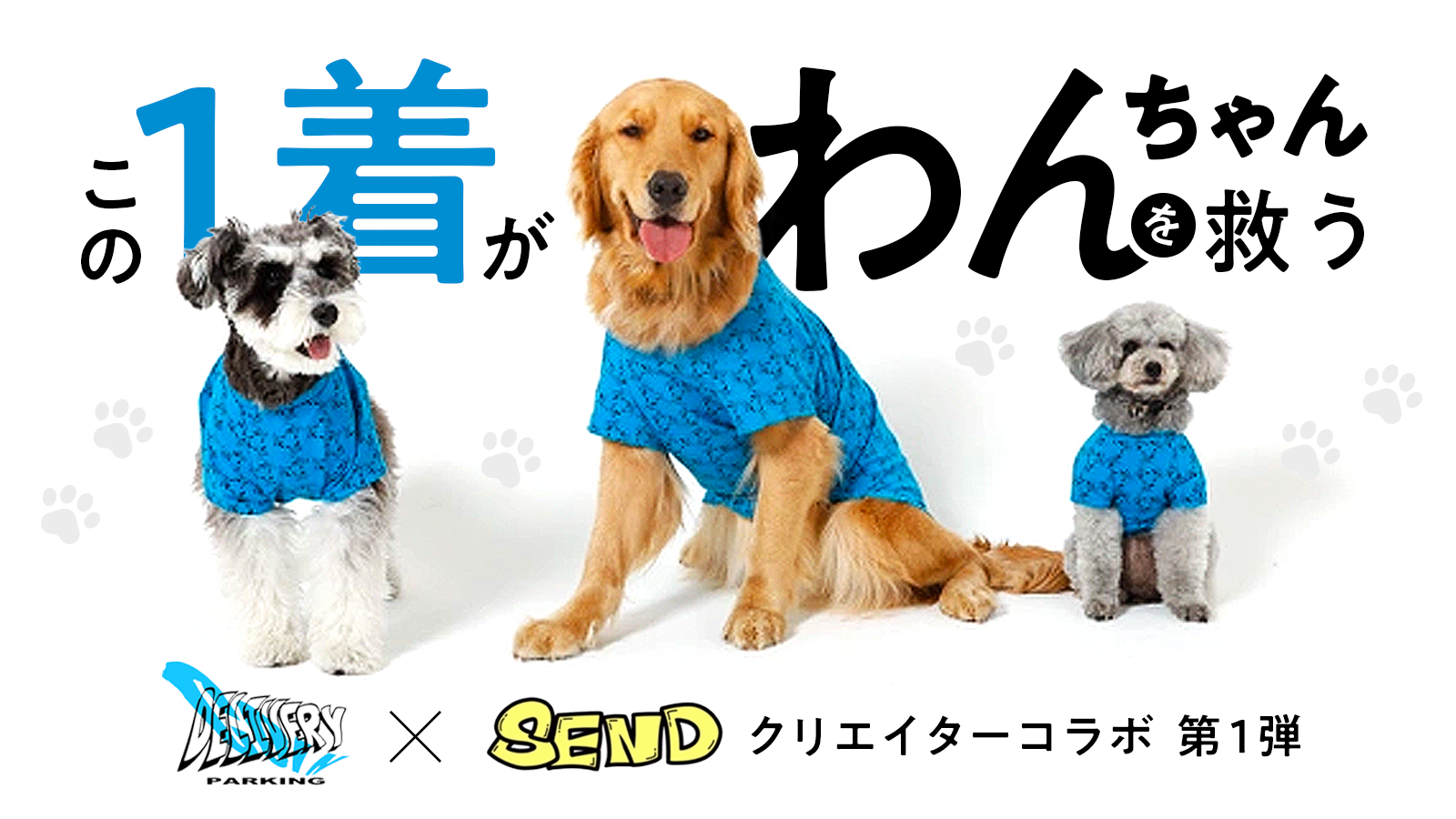 専用☆●犬服●ハンドメイド 胴43 NO.663 専用☆○犬服○ハンドメイド 胴43 NO.663