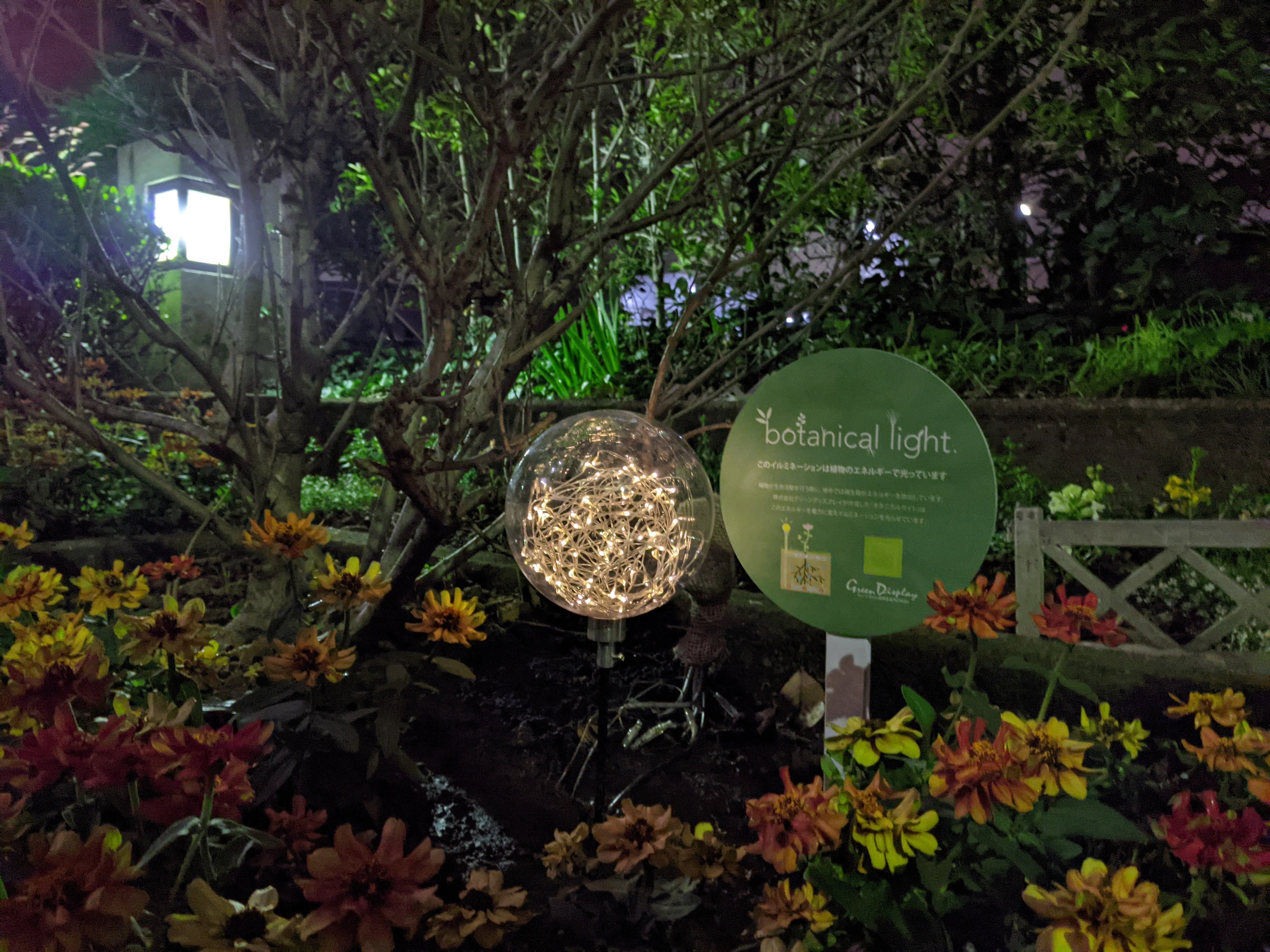 世田谷区烏山川緑道