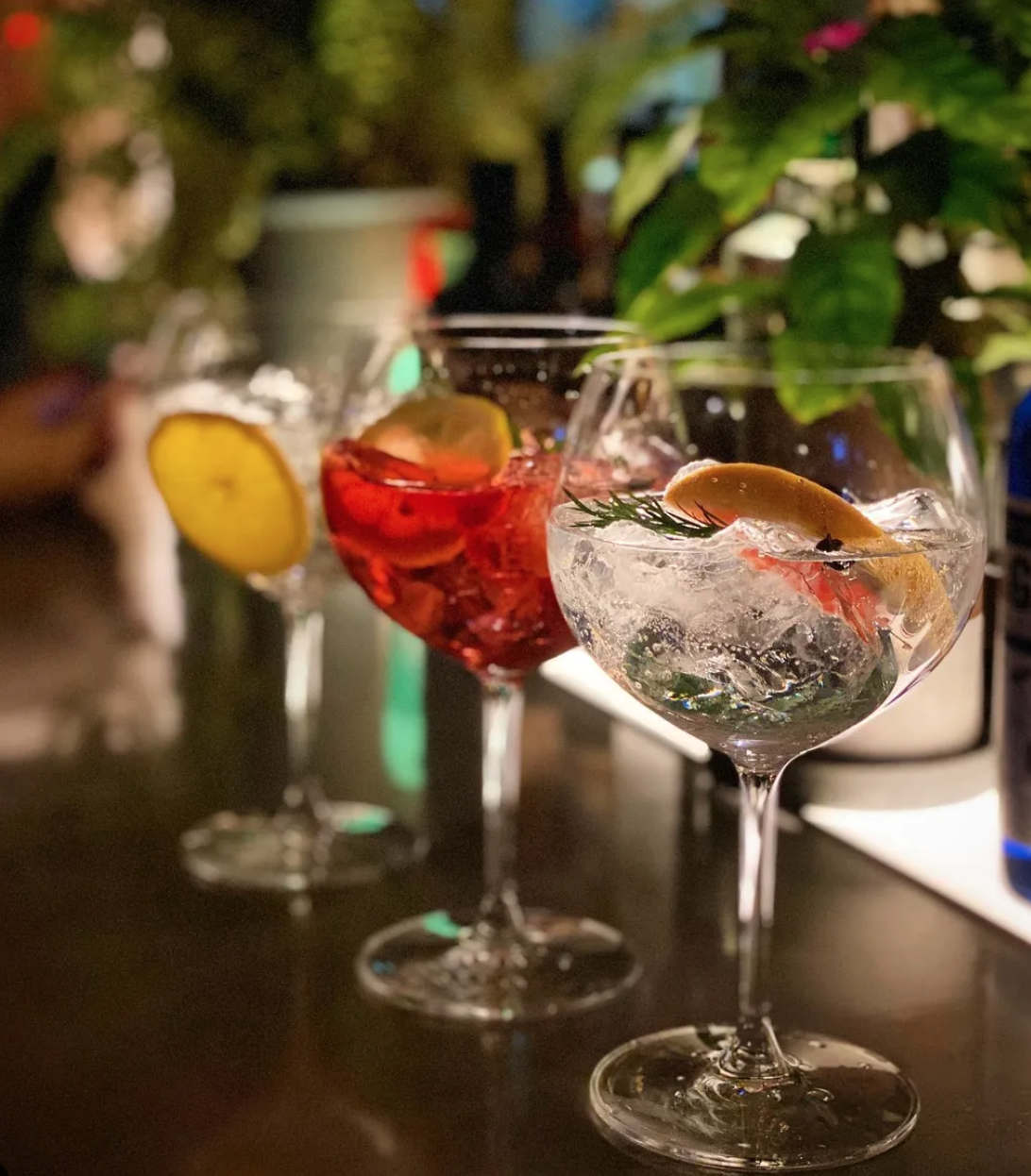 SiCXオリジナルジントニック