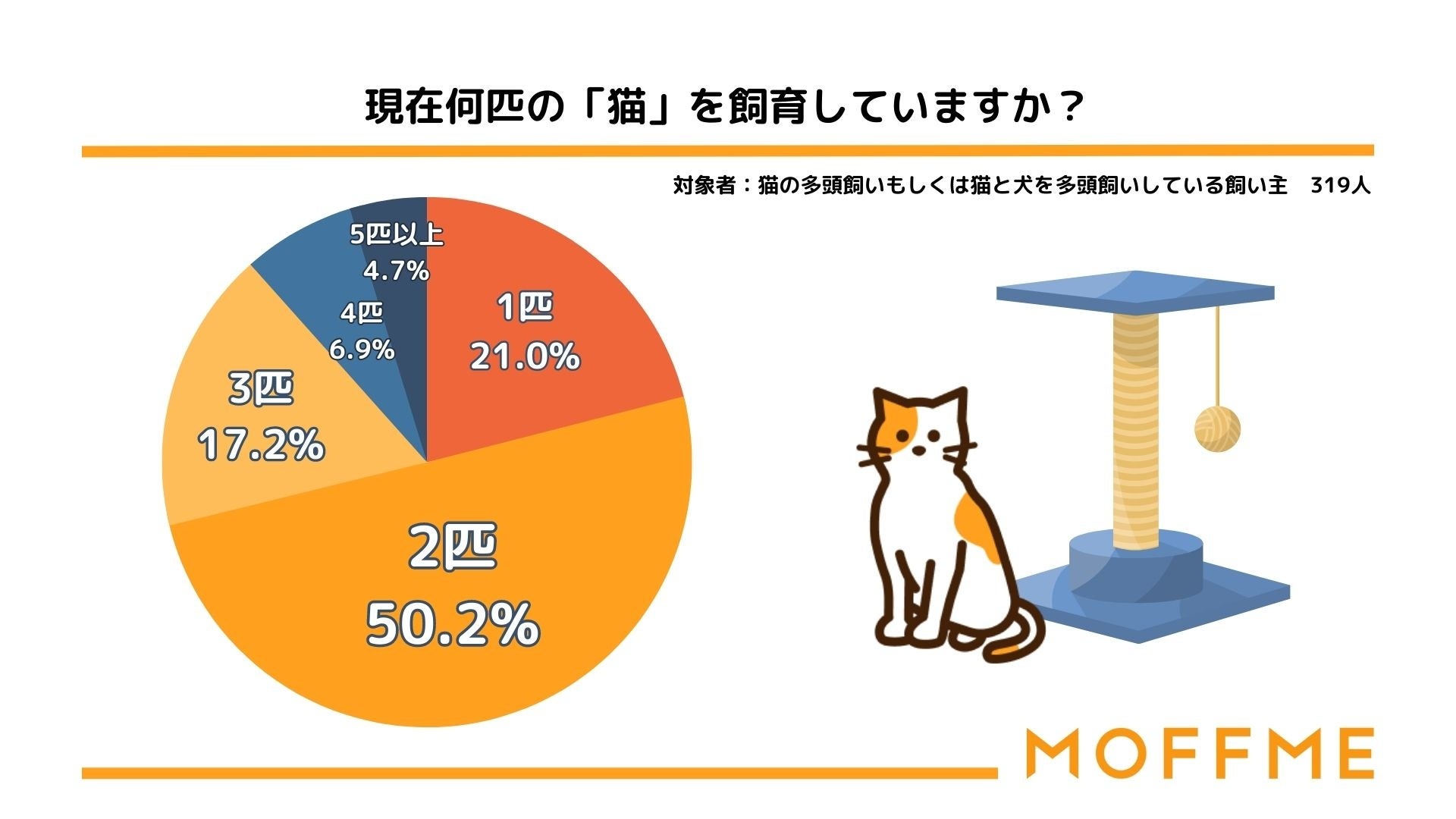 猫 数