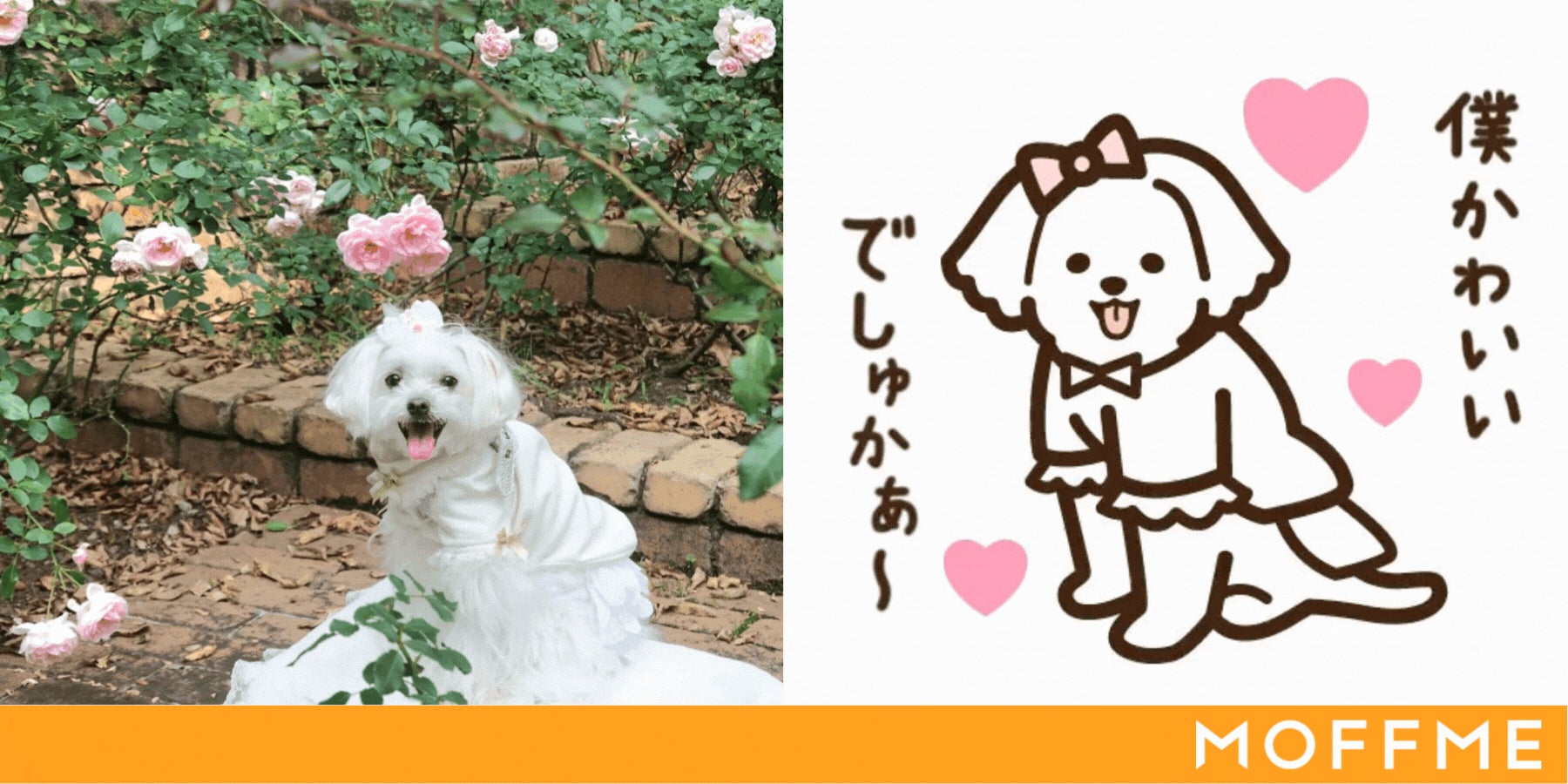 アテレコフォトコンテストの受賞写真とイラスト発表! アテレコフォトコンテストの受賞写真とイラスト発表!