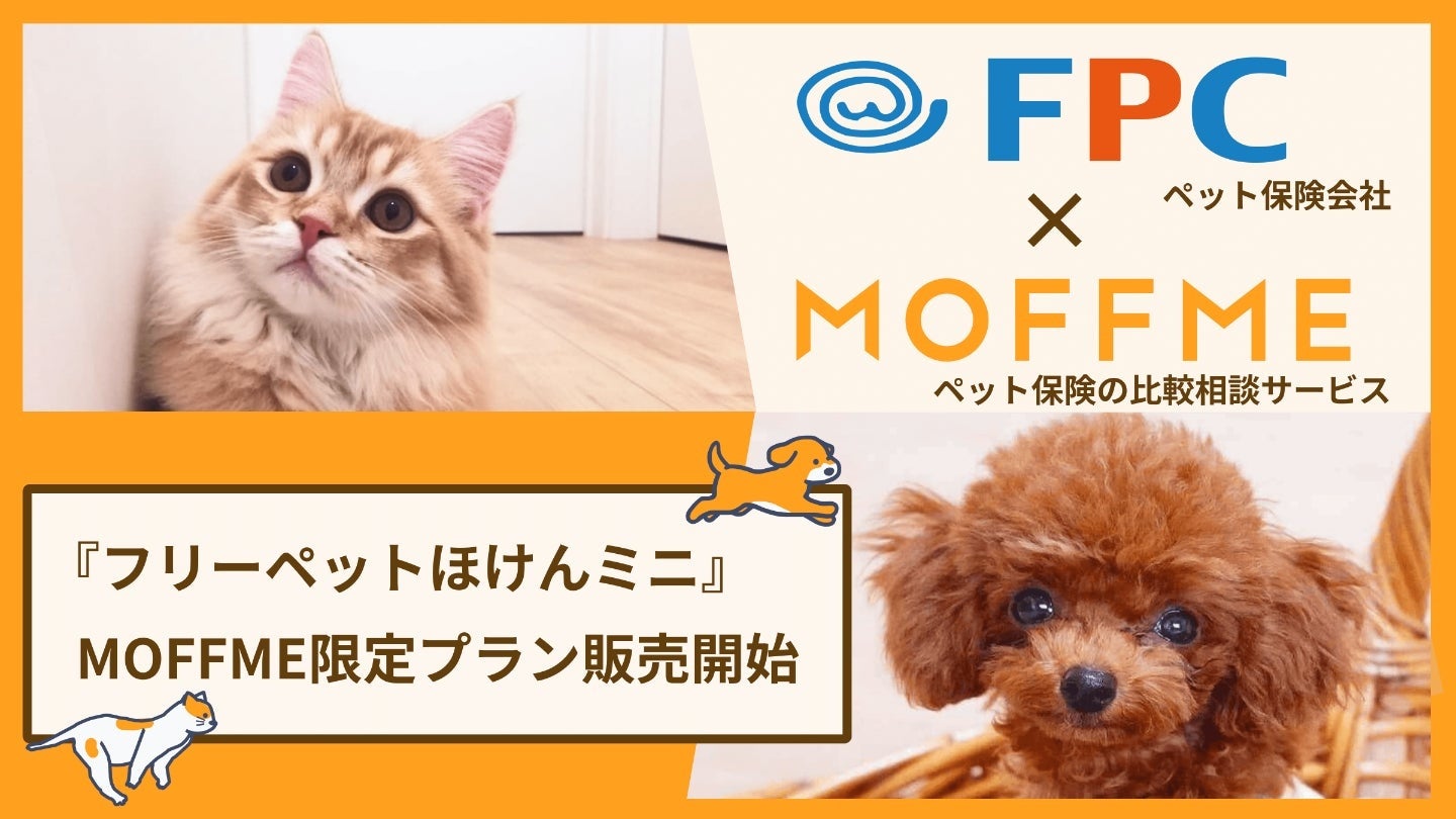 うつぼ様 ご相談ページ Before & after 頭のかたちと身体のケア 今回ご紹介させて