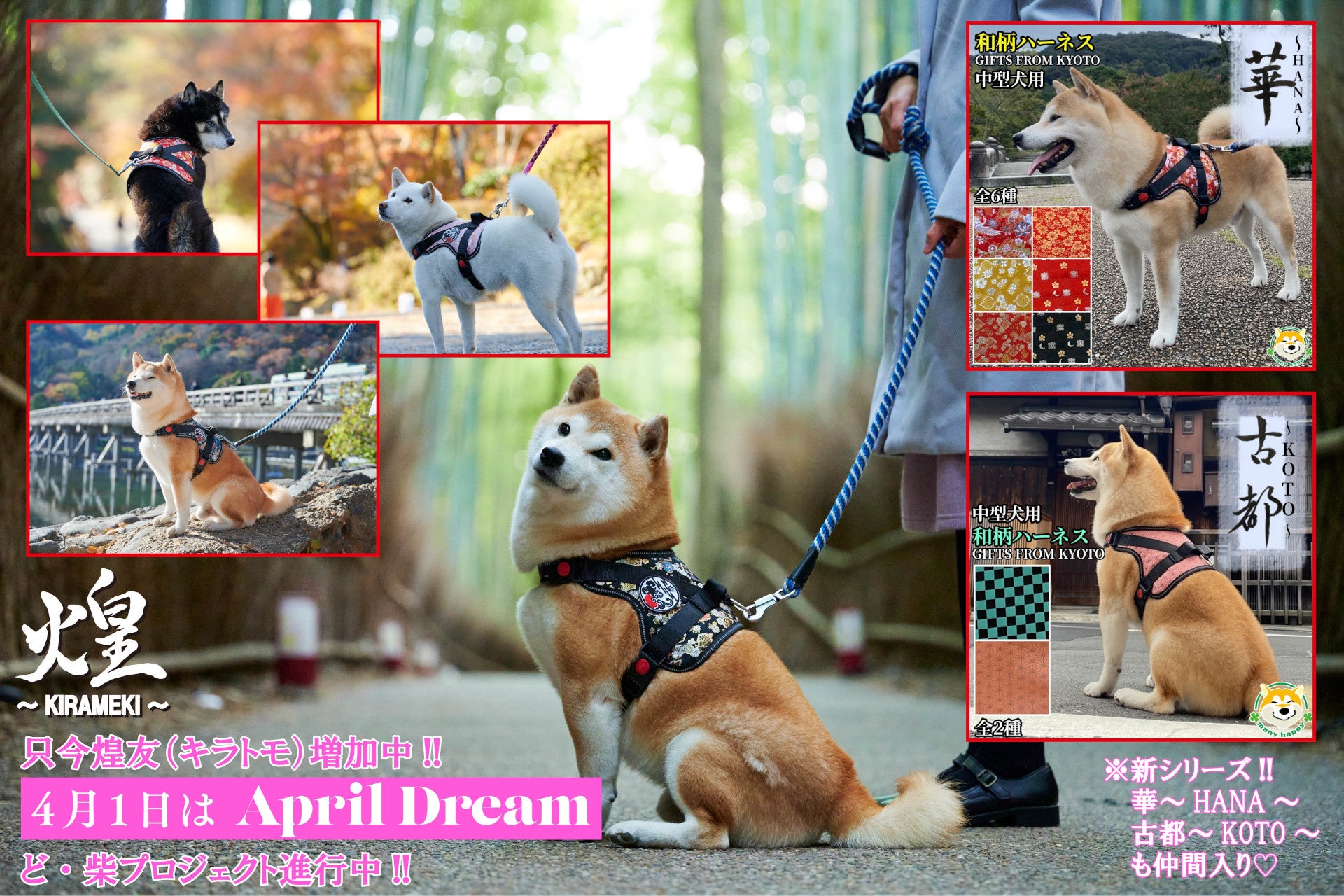 ペットのためのモノ コト作りを通じ たくさんの幸せな繋がりを創造していく 株式会社メニーハッピィのプレスリリース ペットのためのモノ コト作りを通じ たくさんの幸せな繋がりを創造していく 株式会社メニーハッピィのプレスリリース