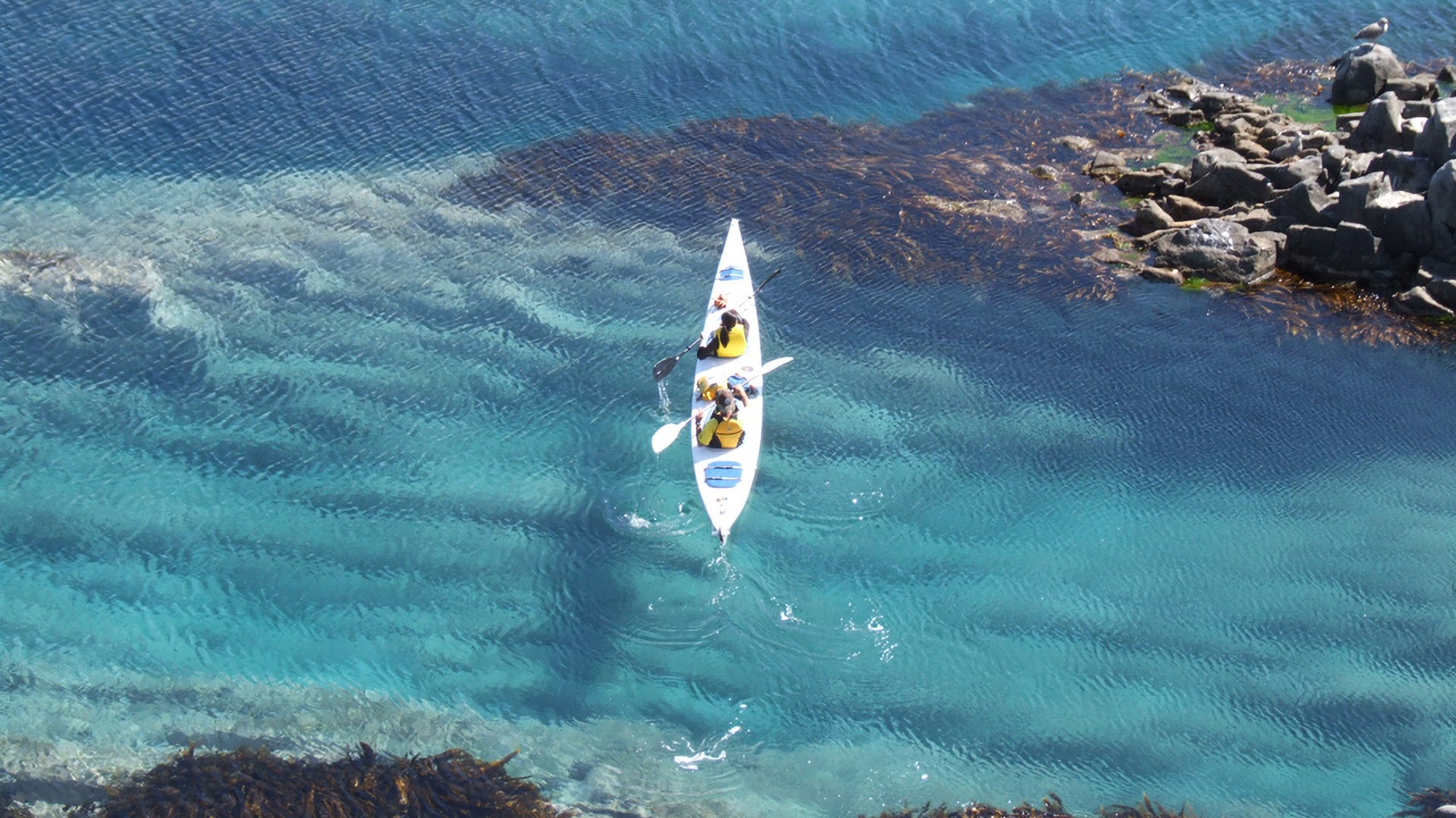 『Domingo』記事にて利尻島・礼文島の魅力をご紹介！