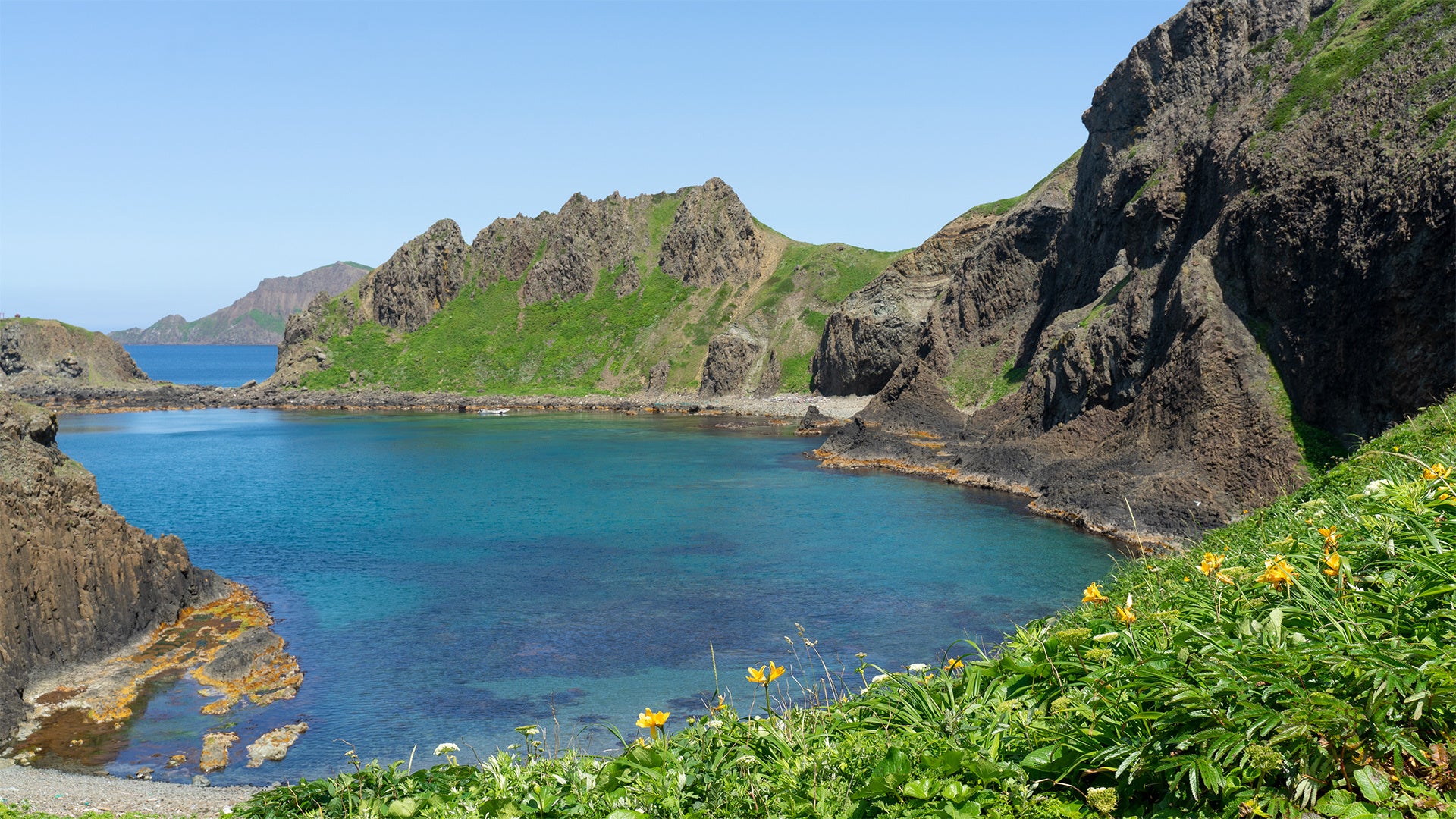 『Domingo』記事にて、礼文島の魅力を紹介！