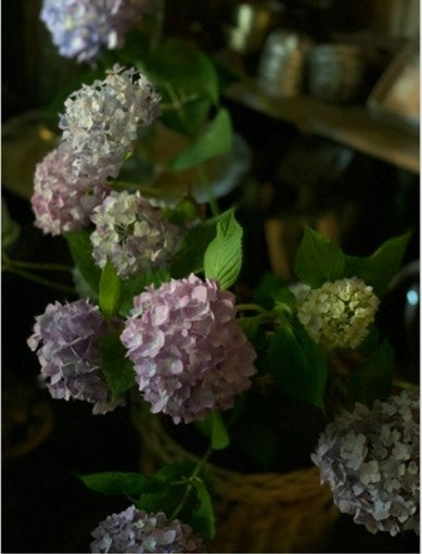 日花朴果は季節の移ろいを大切に、日々の暮らしや気持ちに寄り添う花屋です。さまざまな場面で季節の移ろいや植物がもつ生命力を感じていただけきたいと思っています。