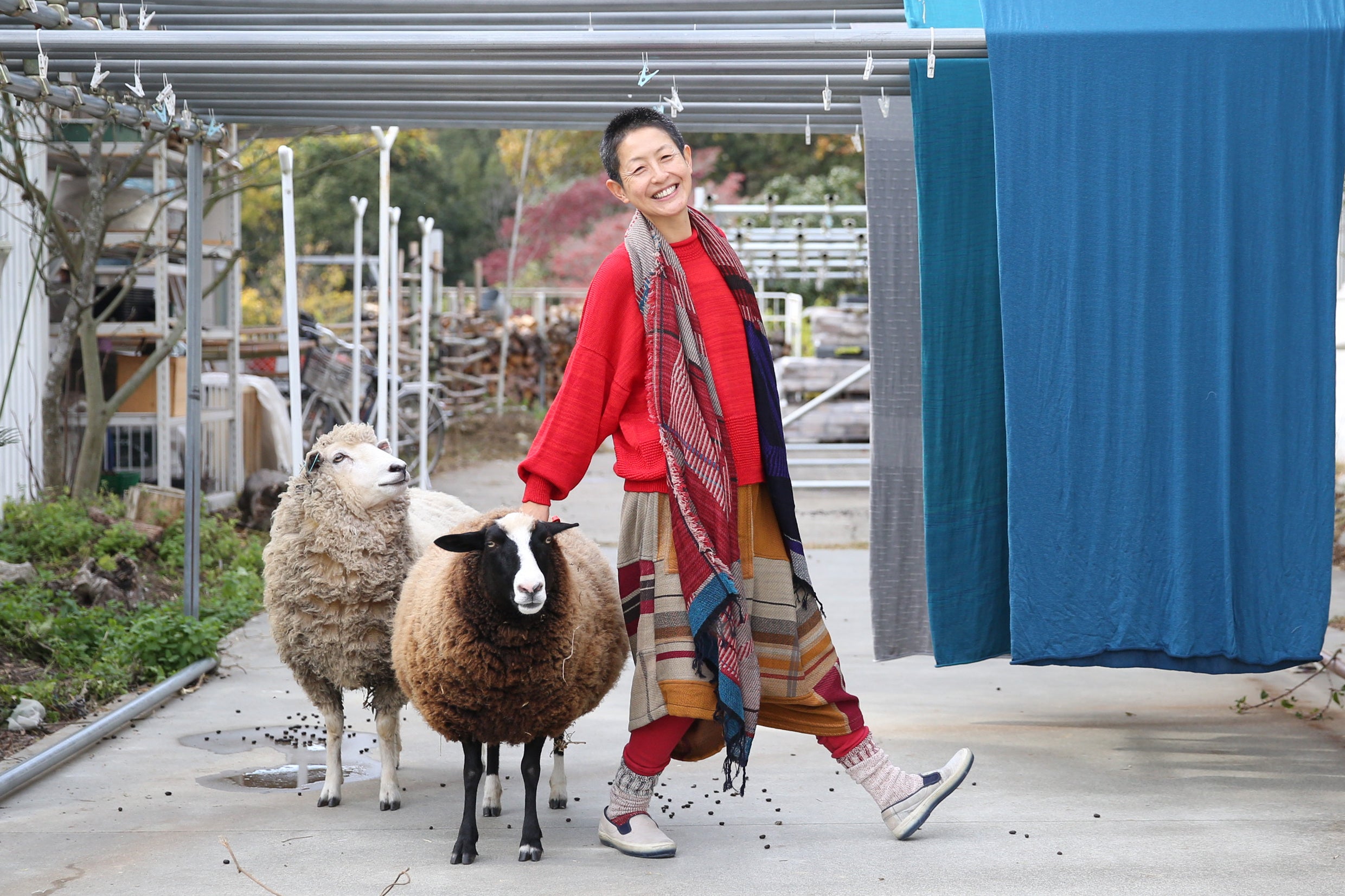 tamaki niime 生き残り実験！？ | 有限会社玉木新雌のプレスリリース