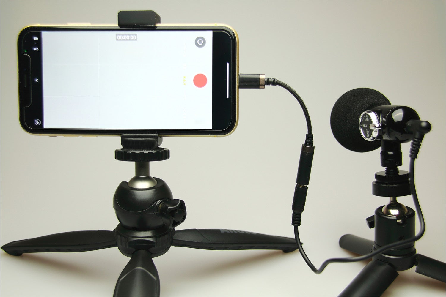 写真はイメージです