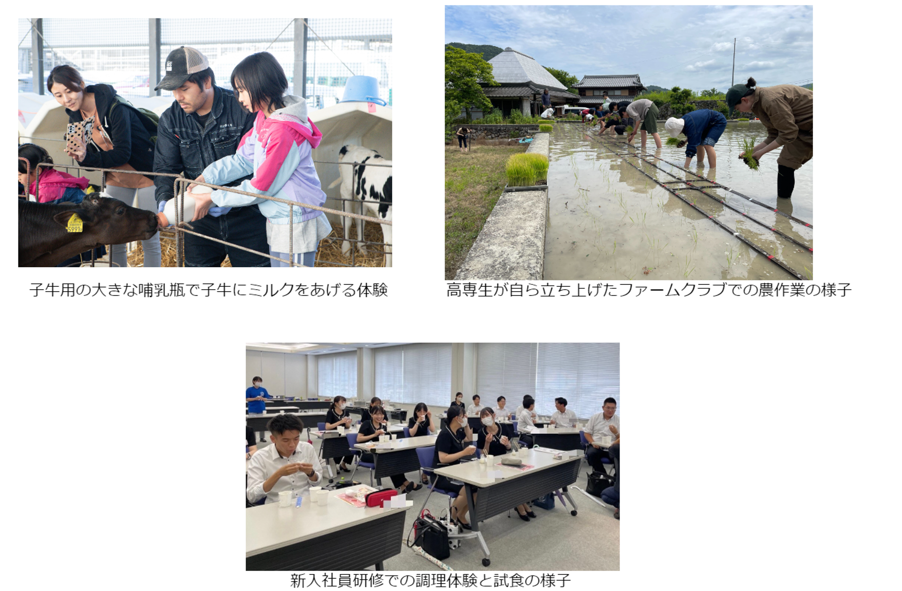 【中古】 食料白書 ２００４（平成１６）年版/食料・農業政策研究センター/食料・農業政策研究センター 食料・農業・農村白書 令和7年版 | 政府刊行物 | 全国官報販売