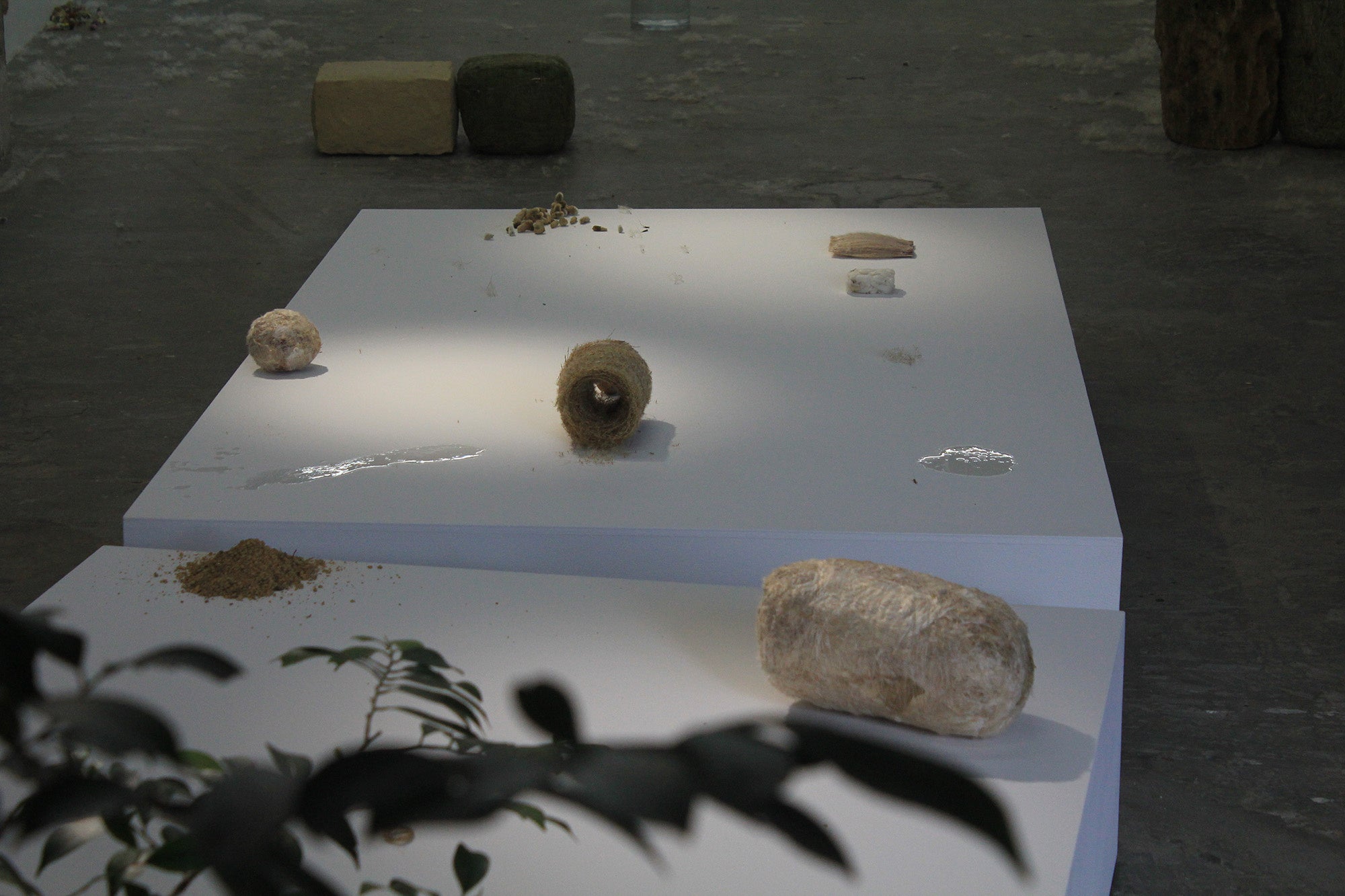 《腐っていくことやここからの眺め》2021 ／ ANB Tokyo