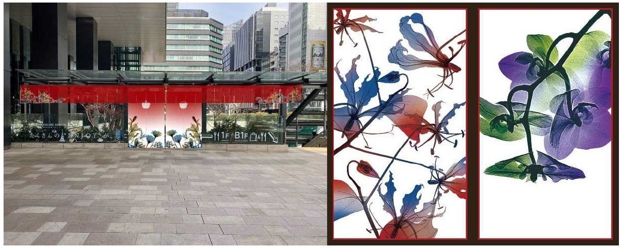 左画像) 「華のれん」 右画像) 「華かるた」