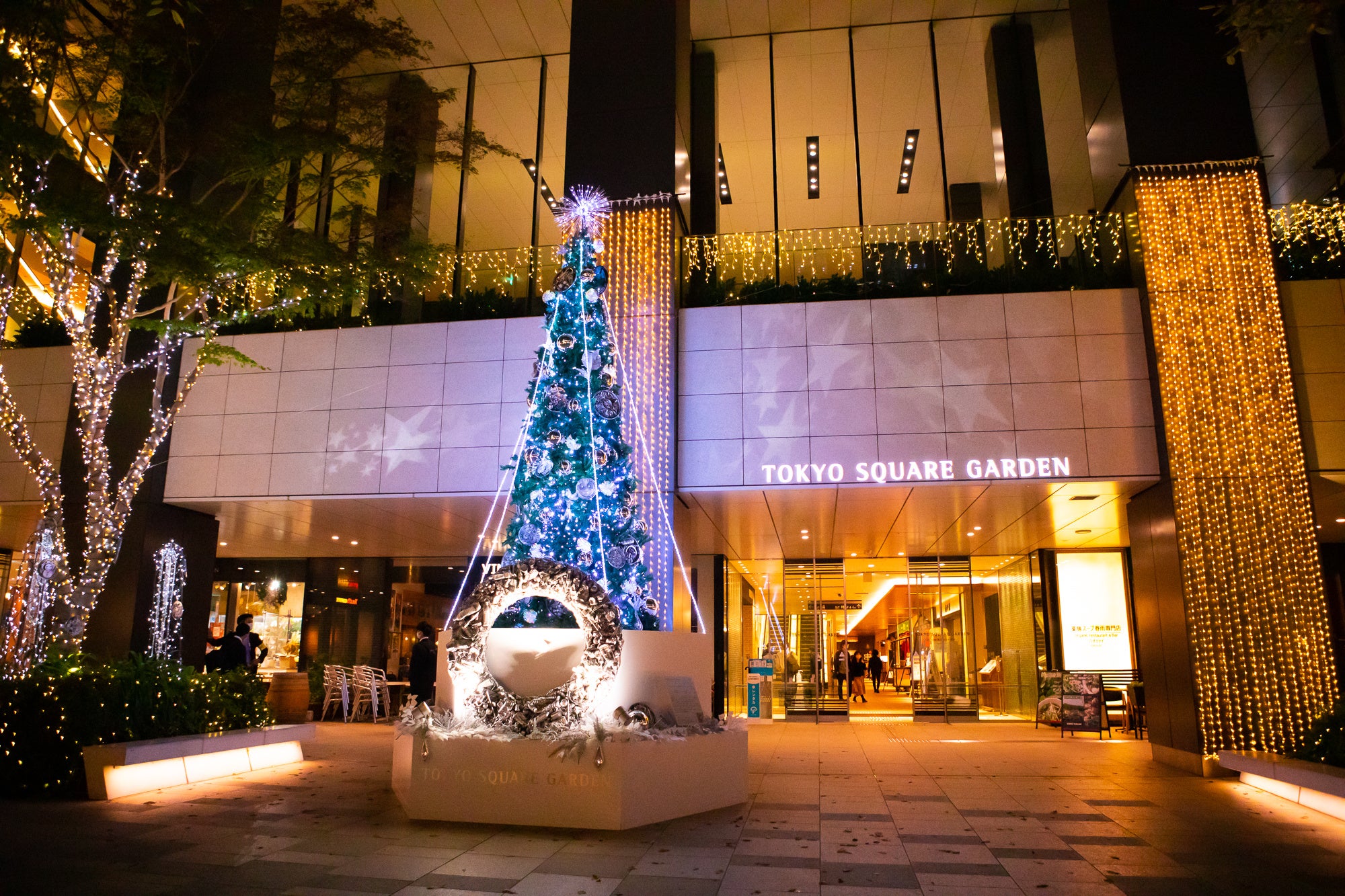 2022年イルミネーションのクリスマスツリー