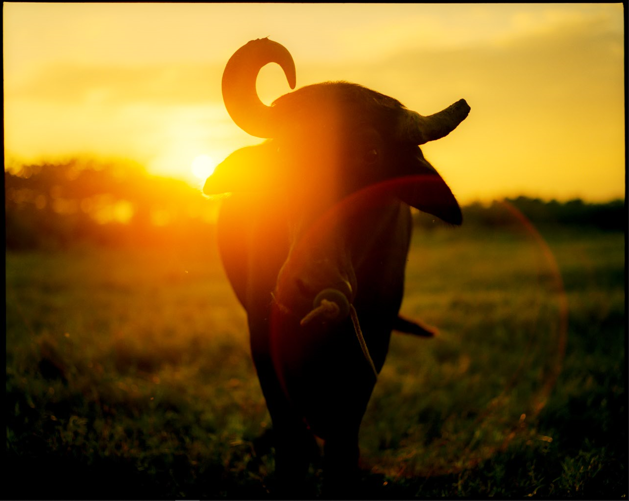 存在と向き合い、沈黙の豊穣を慈しむ『齋藤陽道 絶対』展 | 東京建物