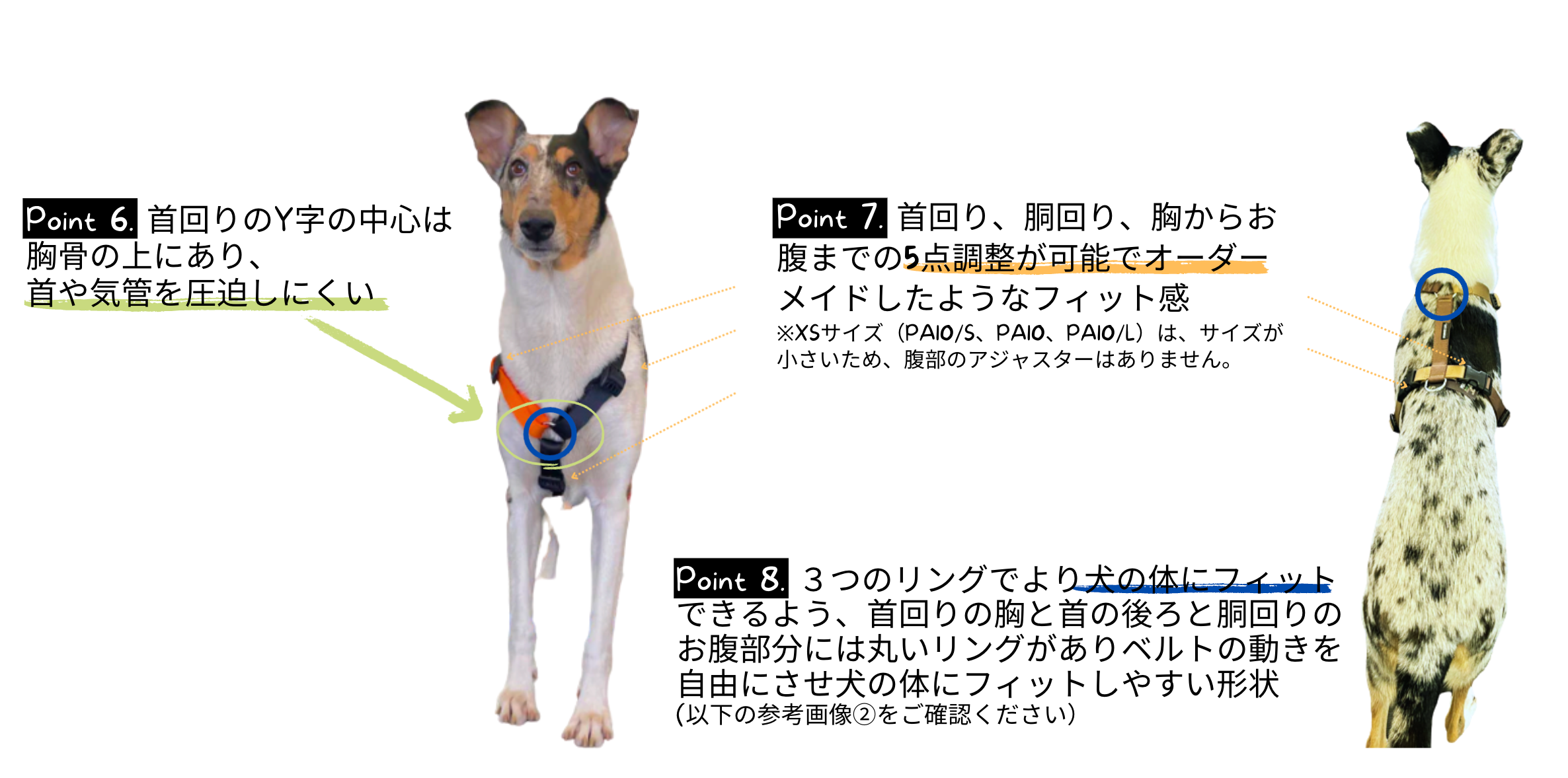 新登場！イタリア製「PERROS」犬用ハーネス マルチカラー！ | 株式会社