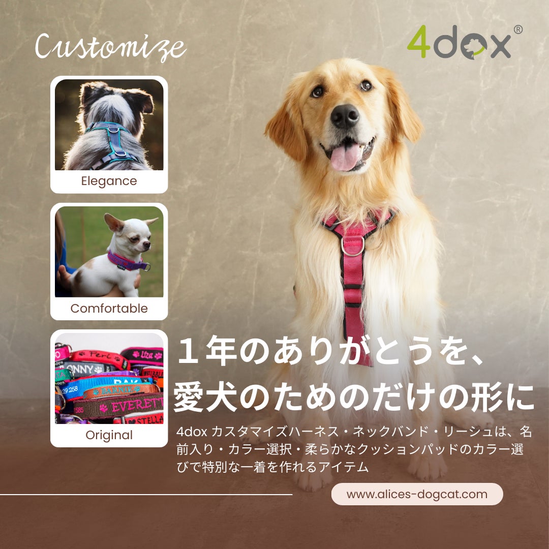 愛犬への1年分の“ありがとう”を、世界にひとつの特別なギフトに | 株式 愛犬への1年分の“ありがとう”を、世界にひとつの特別なギフトに | 株式