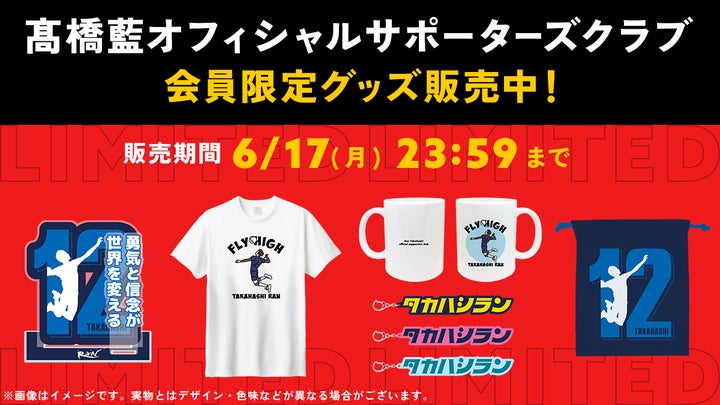 バレーボール グッズ 5296-133-