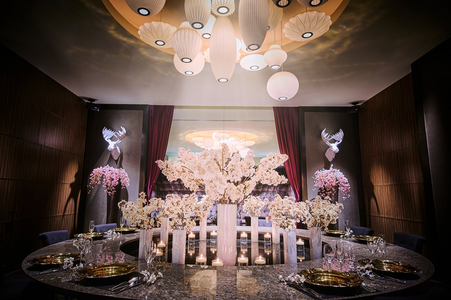 TAVOLA TAVOLA  by ZILLION　内観