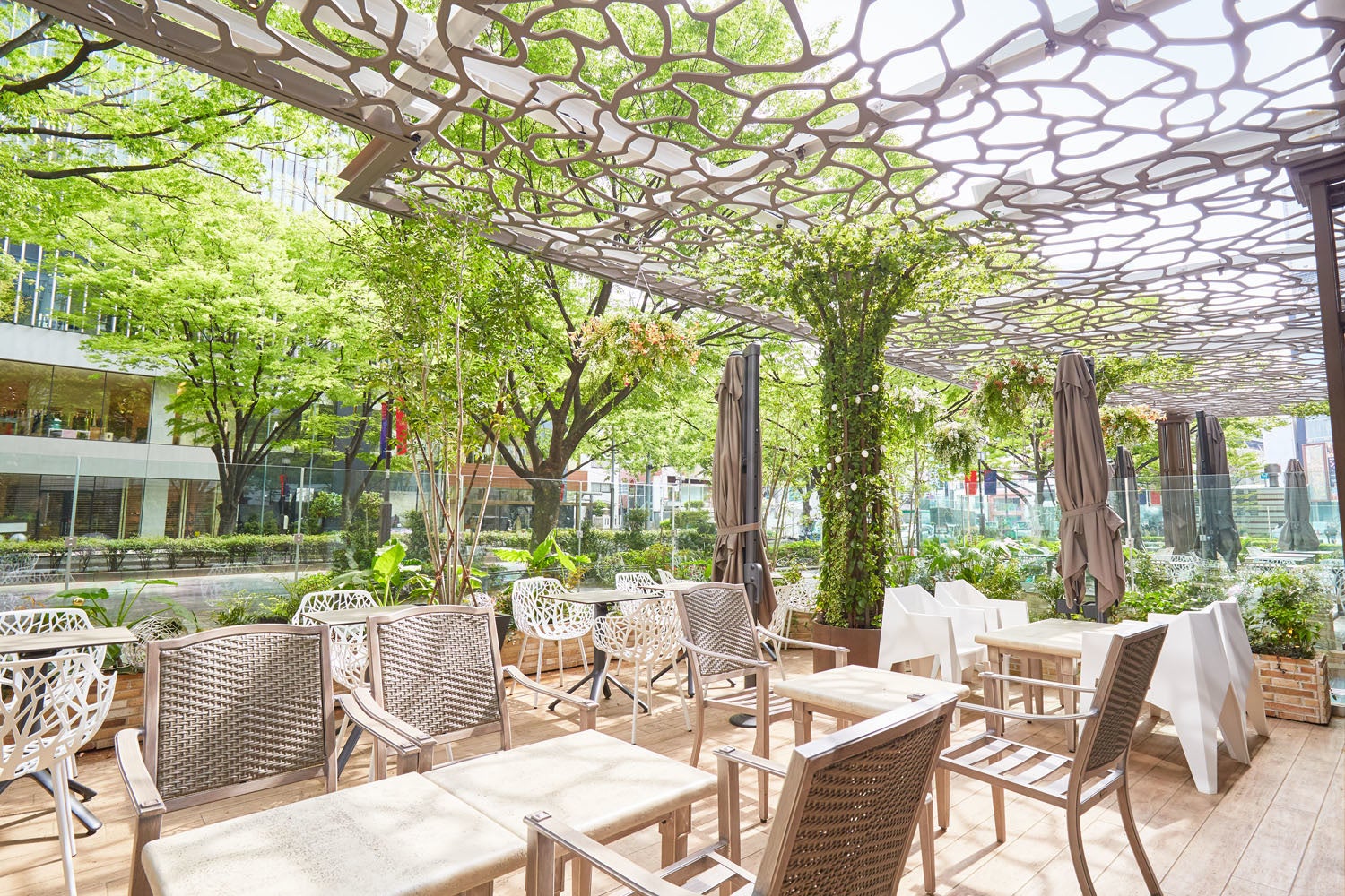 表参道のケヤキ並木を臨むテラス席