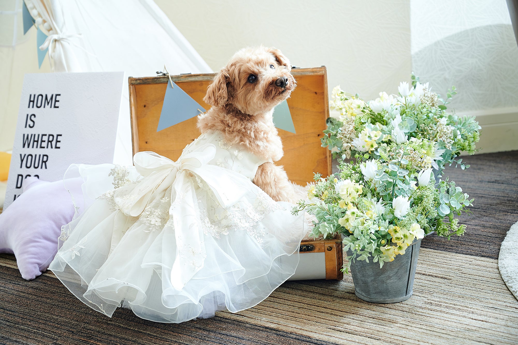 ご滞在中に愛犬の写真撮影を存分にお楽しみいただけるよう、フォトスポットとわんちゃん用のレンタルドレスやタキシードをご用意