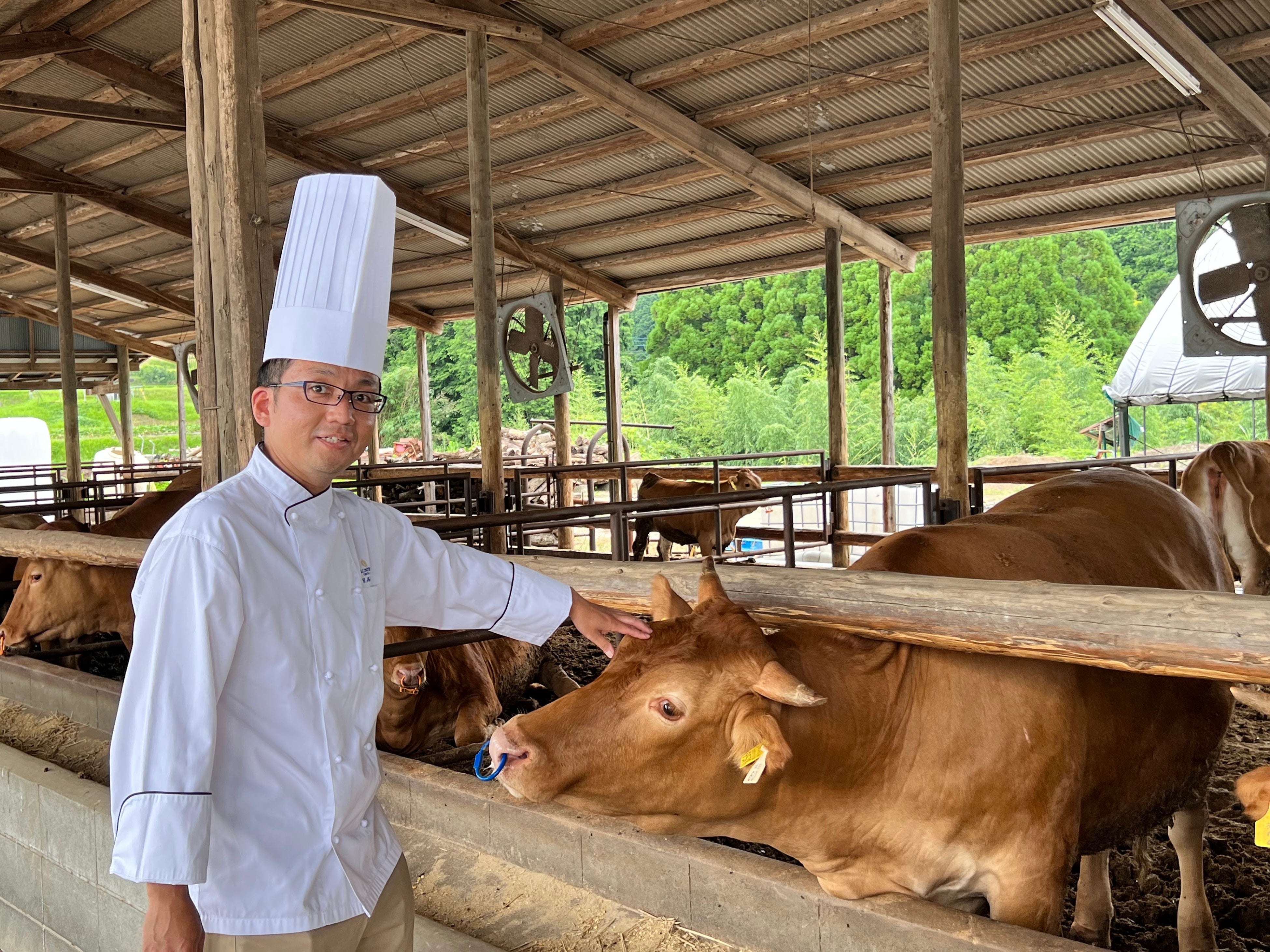 阿蘇にある牛舎を視察した料理長の馬原