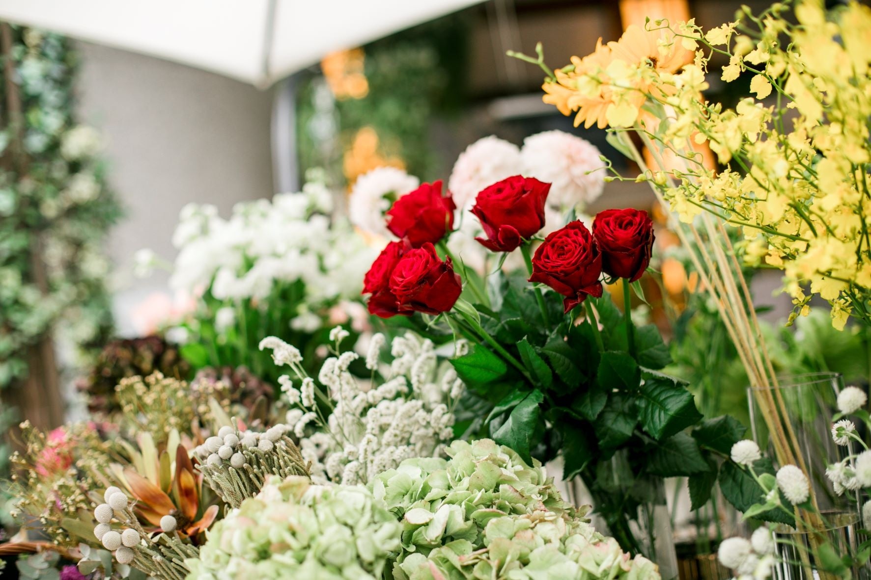 サスティナブルフラワー（イメージ）