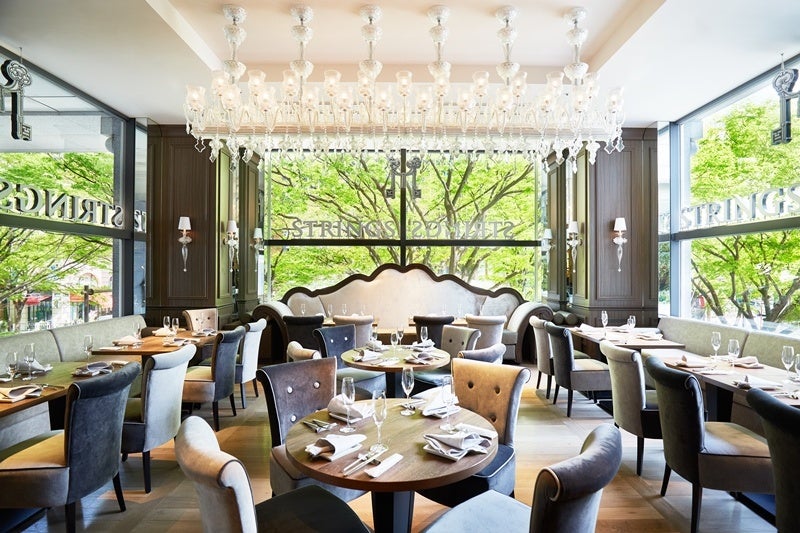 ケヤキの新緑は4月中旬頃よりお楽しみいただけます