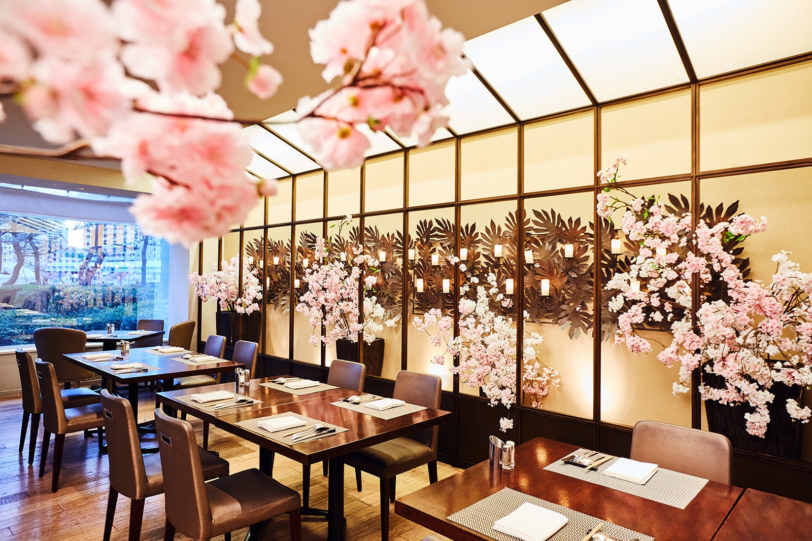 シェフズ ライブ キッチン個室