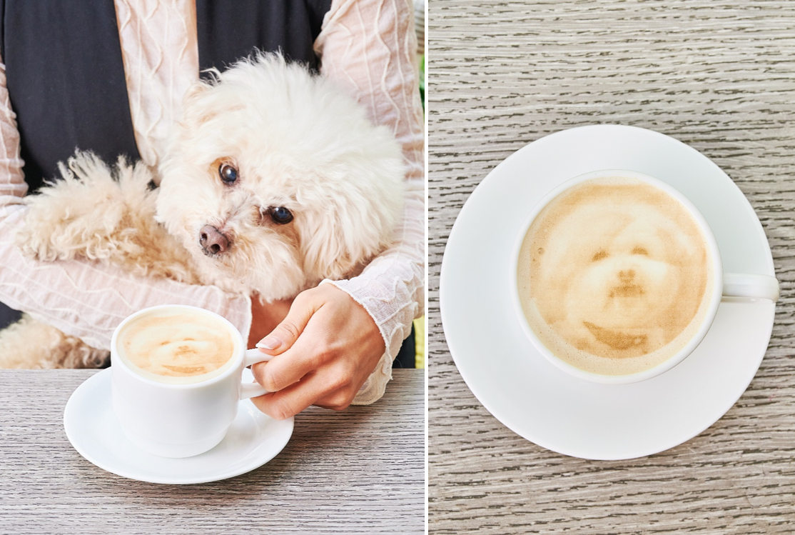 平日テラス限定！愛犬の写真がプリントされたカフェラテ付「ドッグ