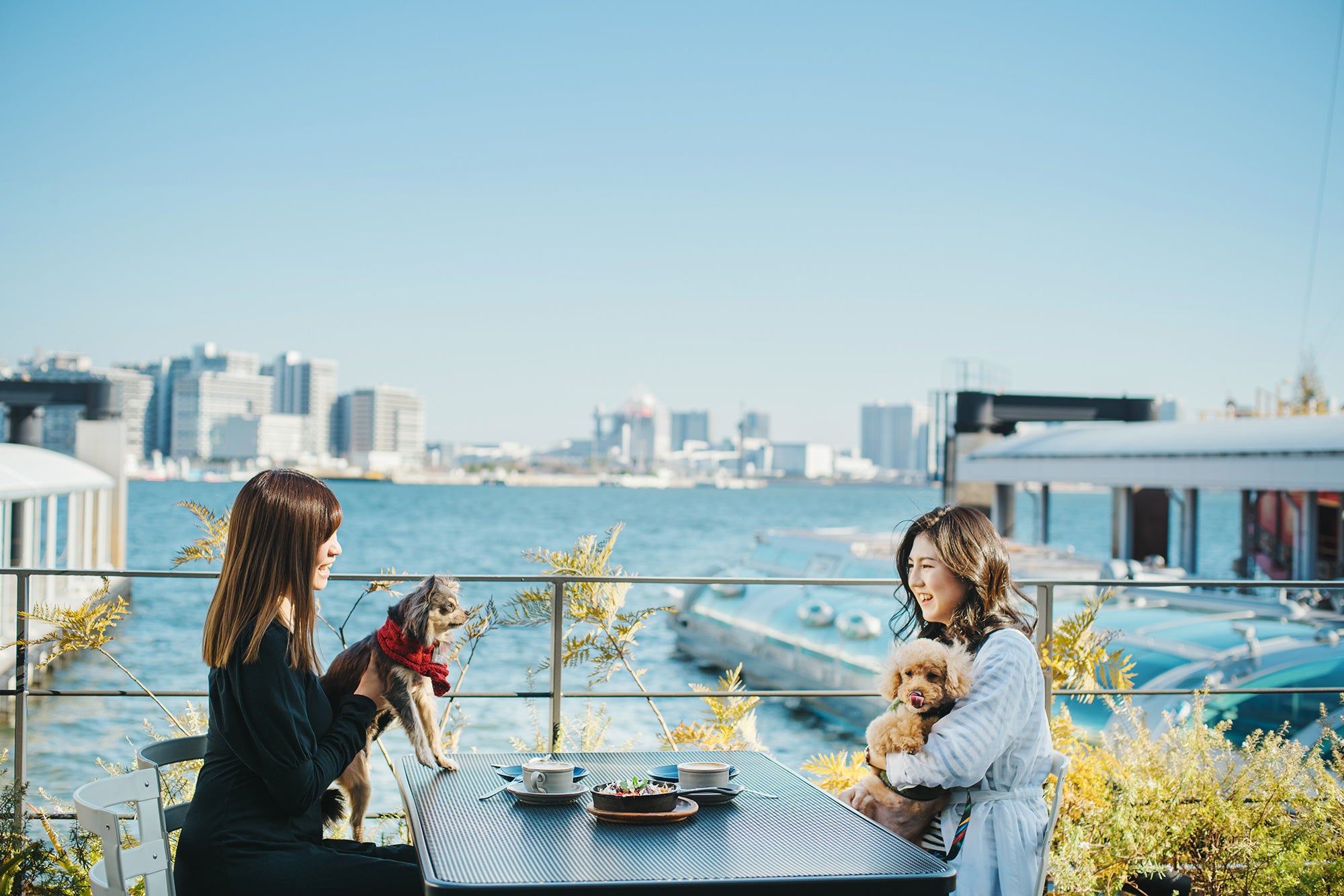 ホテルから徒歩１分のところにあるHi-NODE内のドッグフレンドリーカフェ「BESIDE SEASIDE」