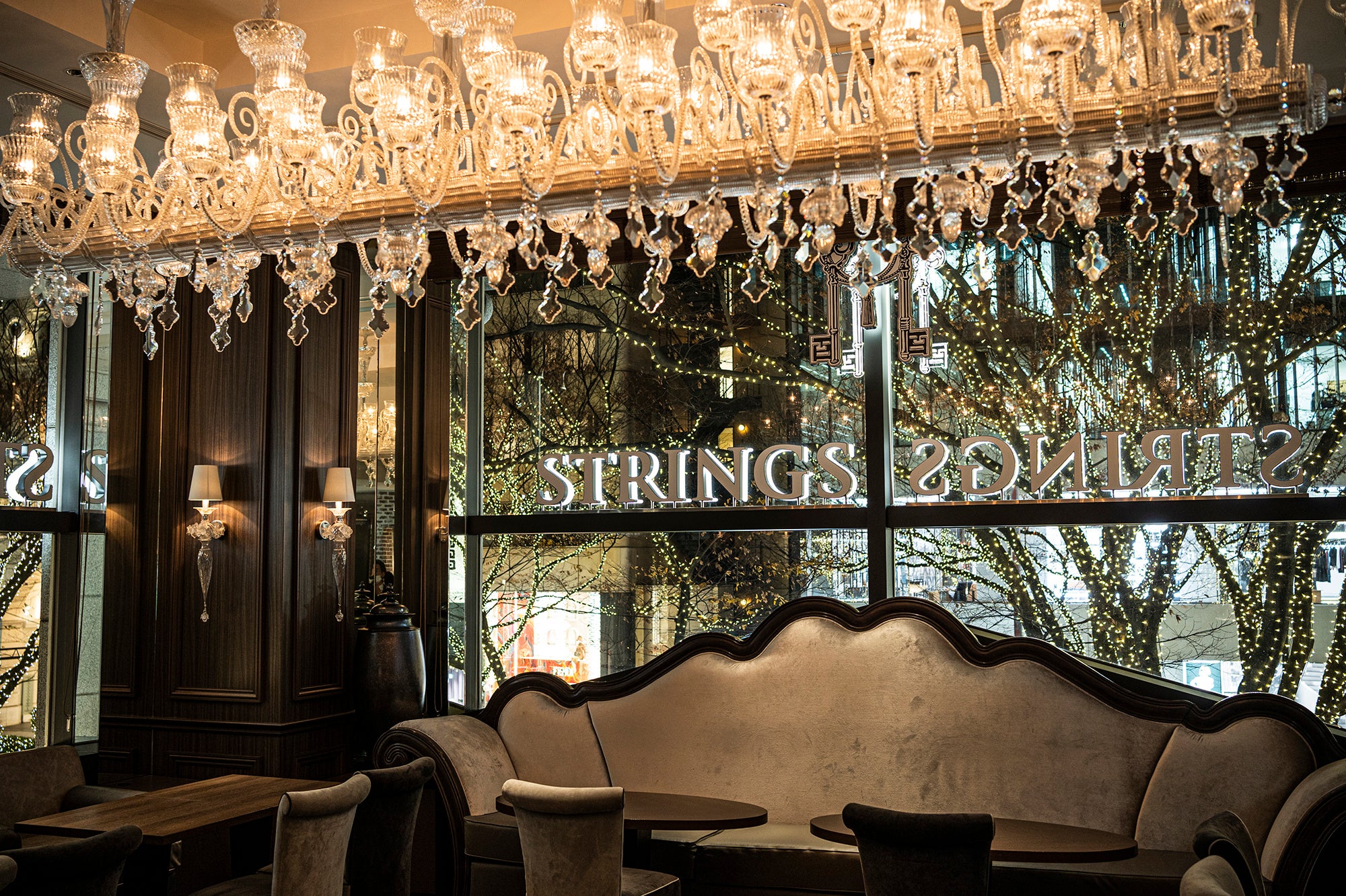 表参道のイルミネーションを一望する店内（イメージ）