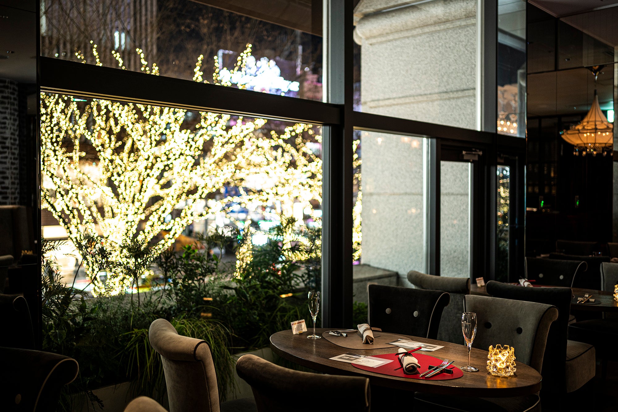 クリスマス直前までお愉しみいただける イルミネーションディナー（イメージ）