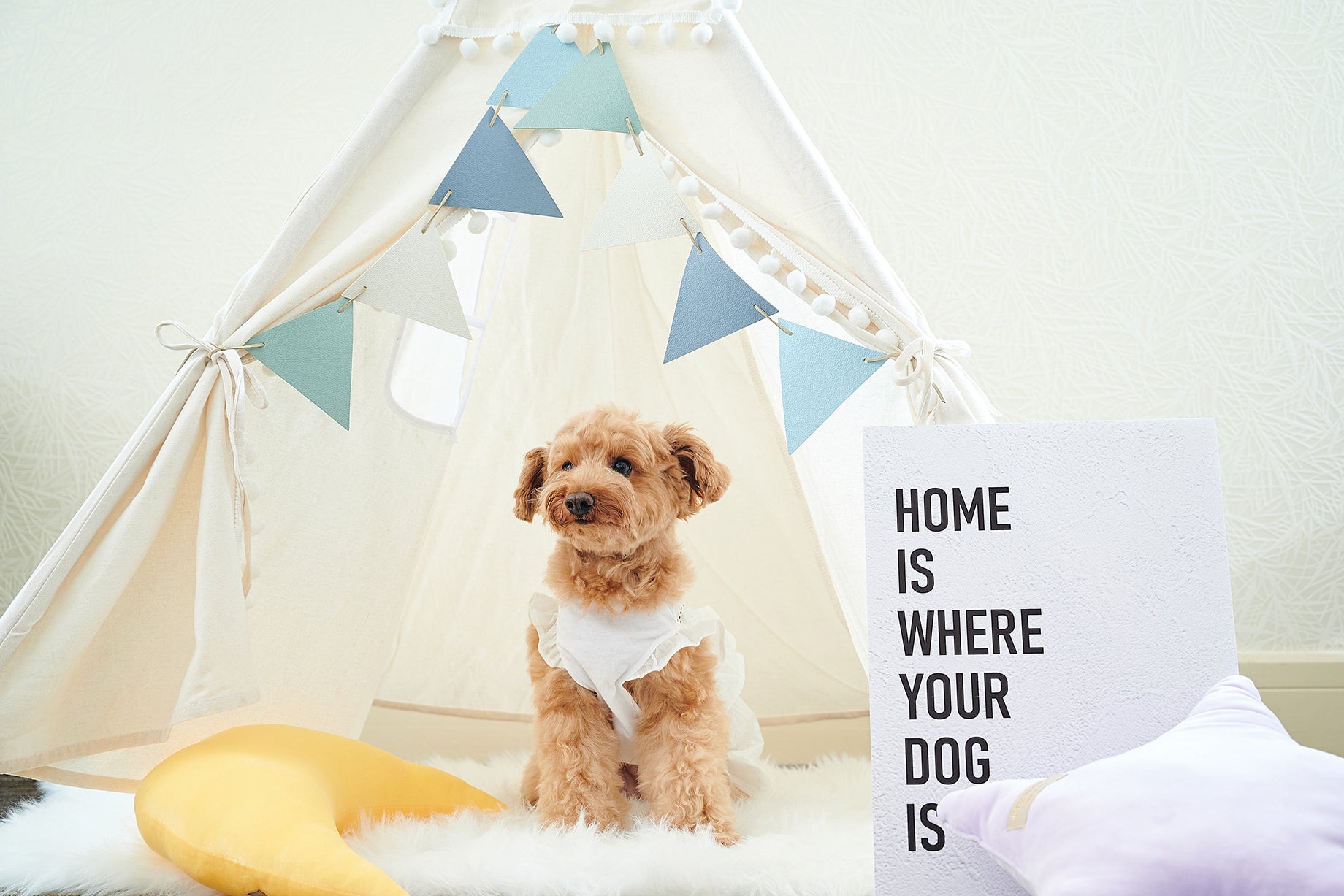 フォトスポット