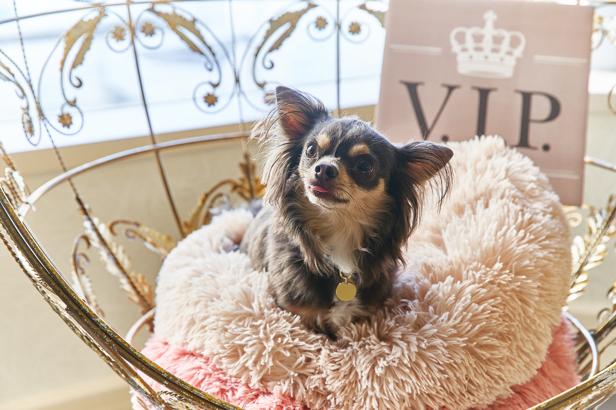 フォトスポット