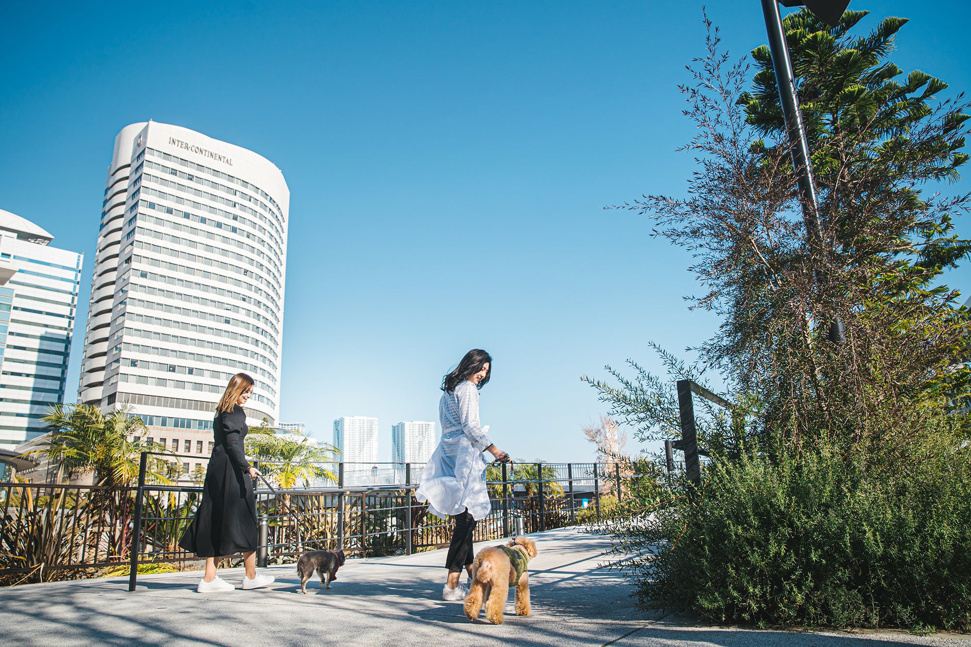 ホテル近隣エリアにはお散歩スポットが充実