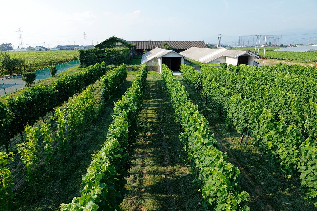 桔梗ヶ原ワイナリー外観