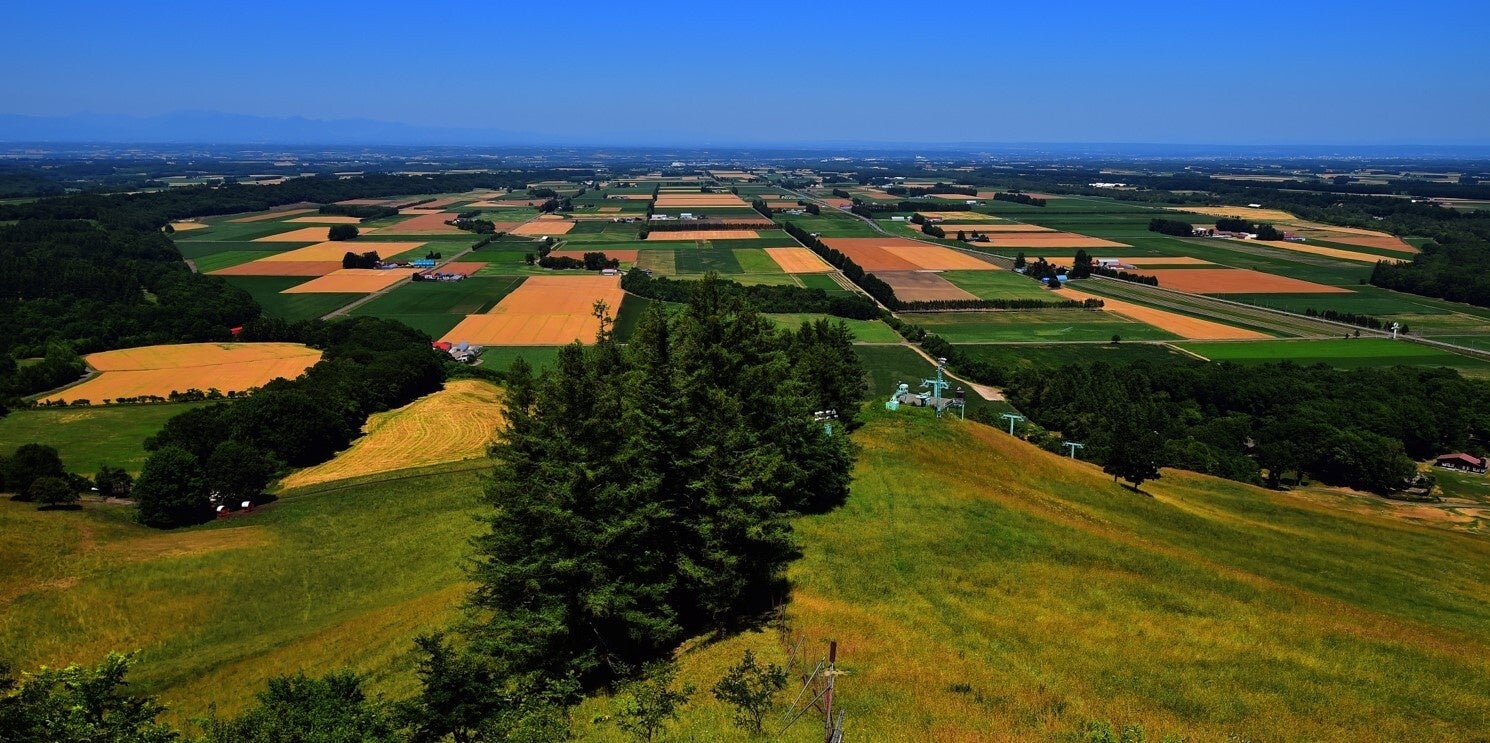 新嵐山展望台から眺める十勝平野の雄大なパノラマ。畑と耕地防風林がパッチワークのように広がる
