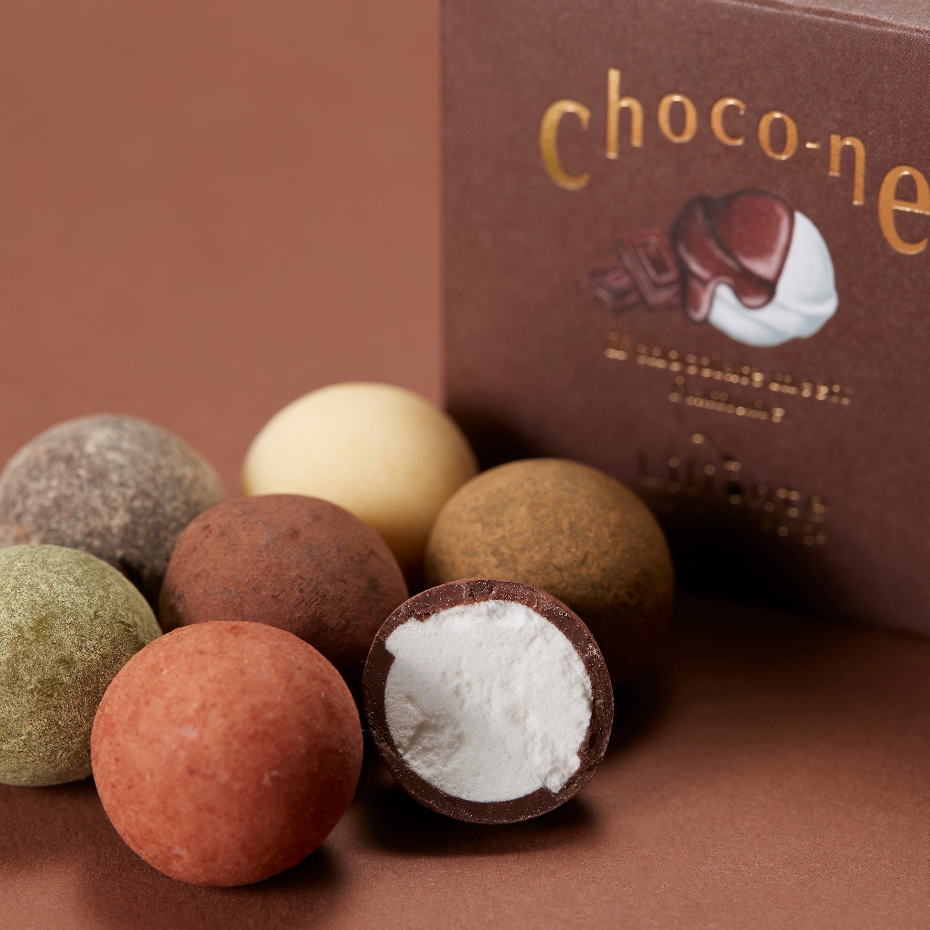 ショコネ断面図