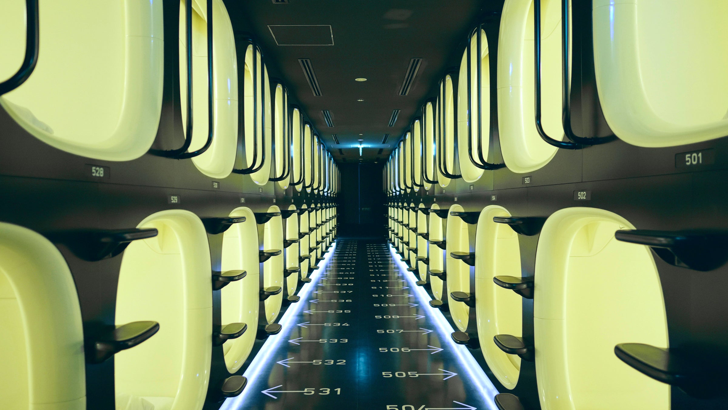 ©︎SHELL and JOINT 