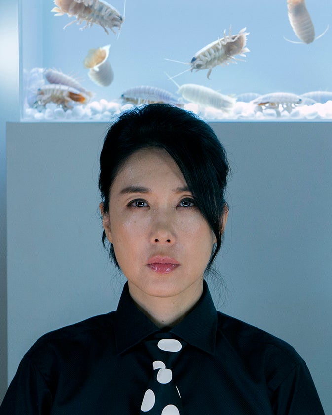 ©︎SHELL and JOINT 