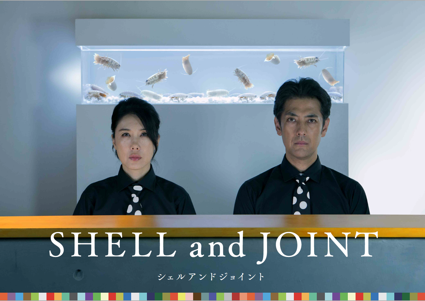 ©️SHELL and JOINT