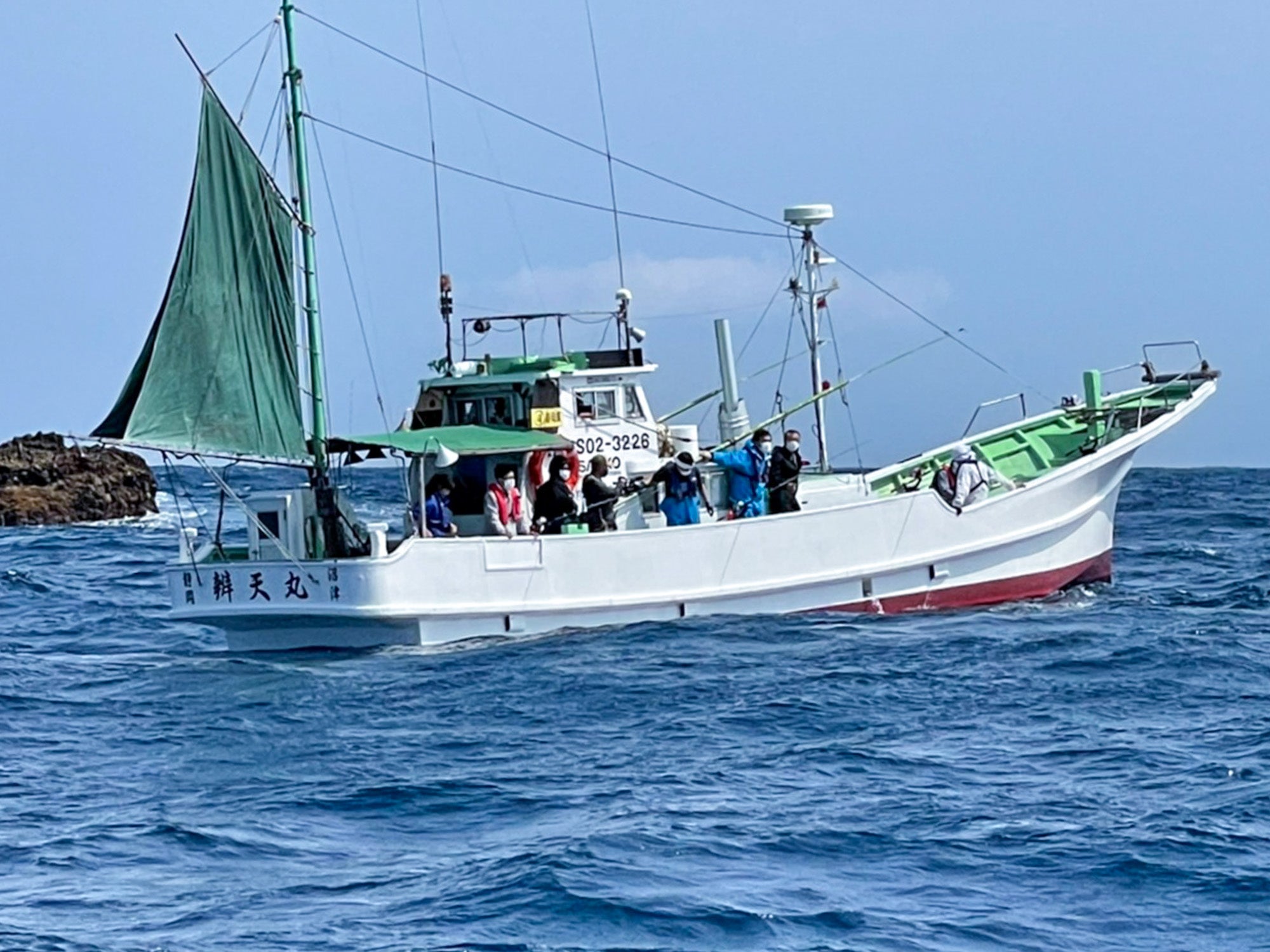 沼津・浜松・豊洲漁港/市場から直送の朝獲れ鮮魚が食べられる