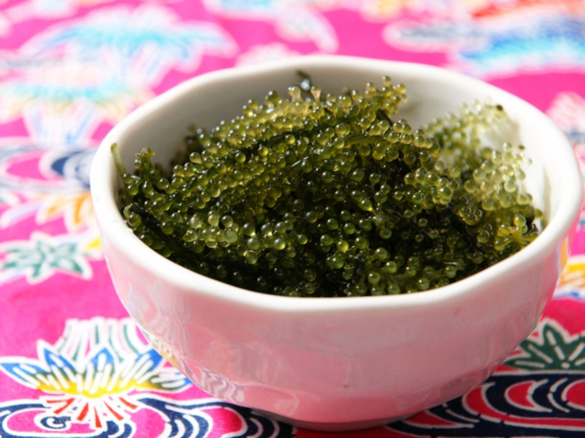 オリオンビールで「沖縄料理」をゲット！