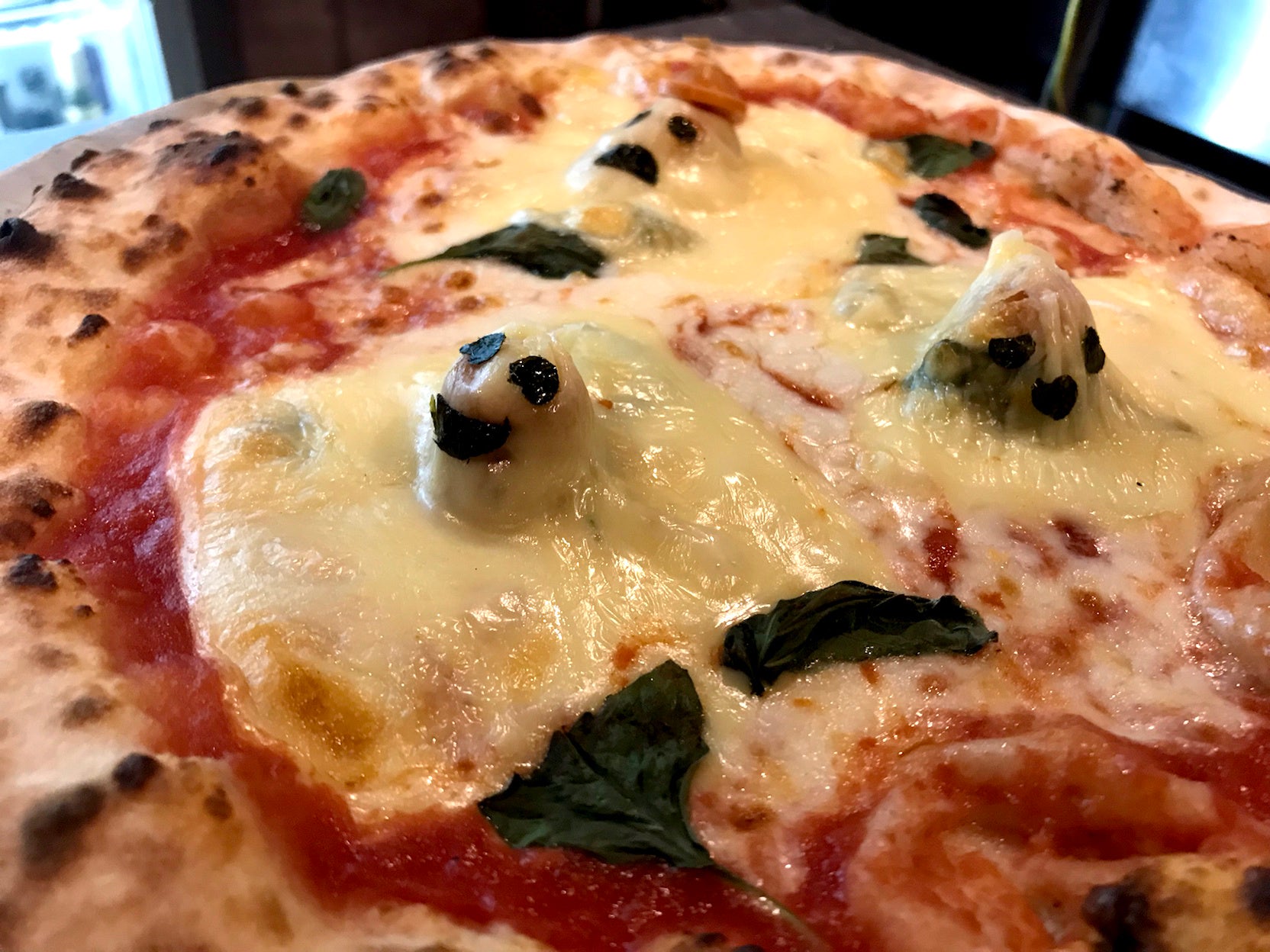 可愛いおばけがひょっこり♪