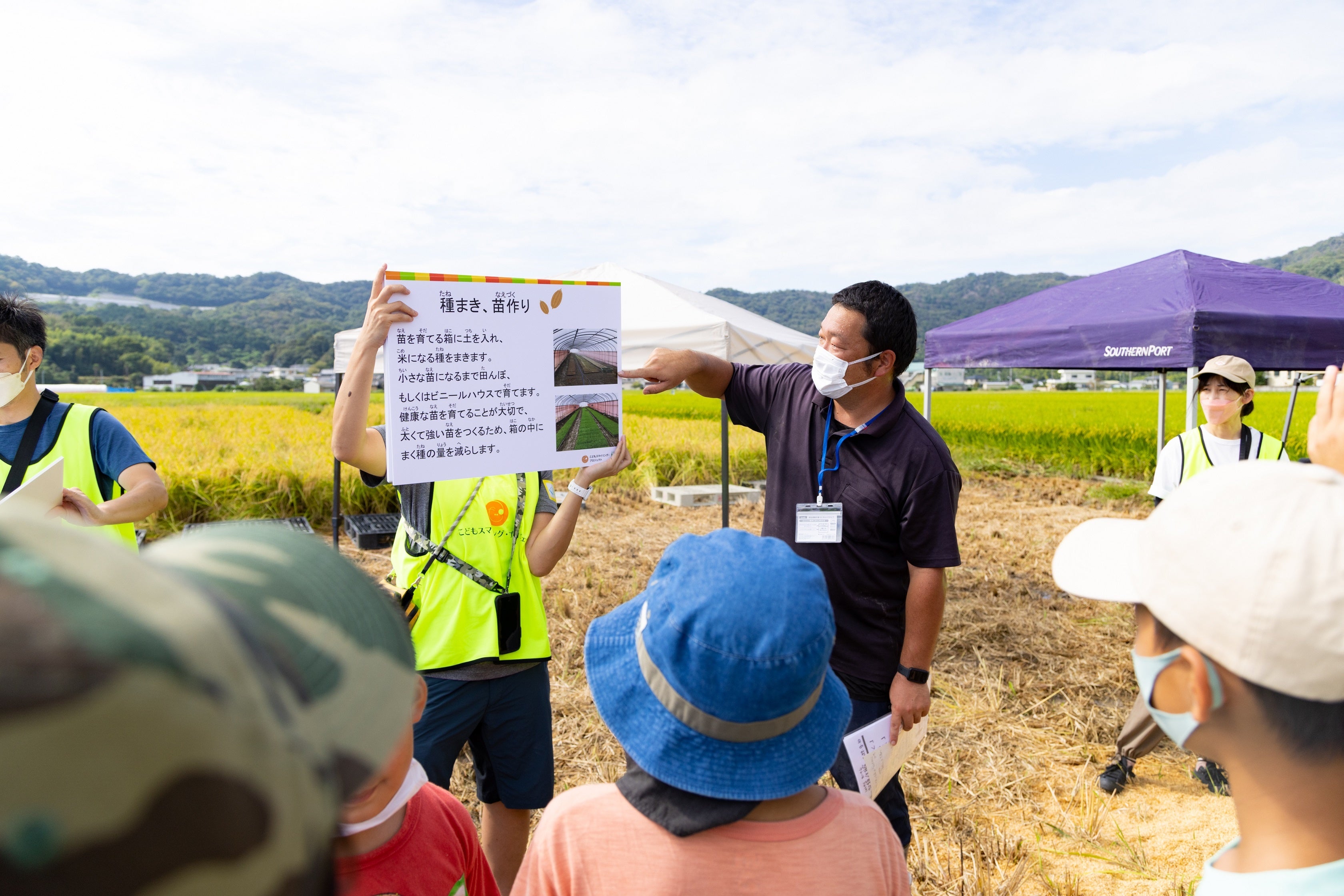 米作り手順を学ぶ