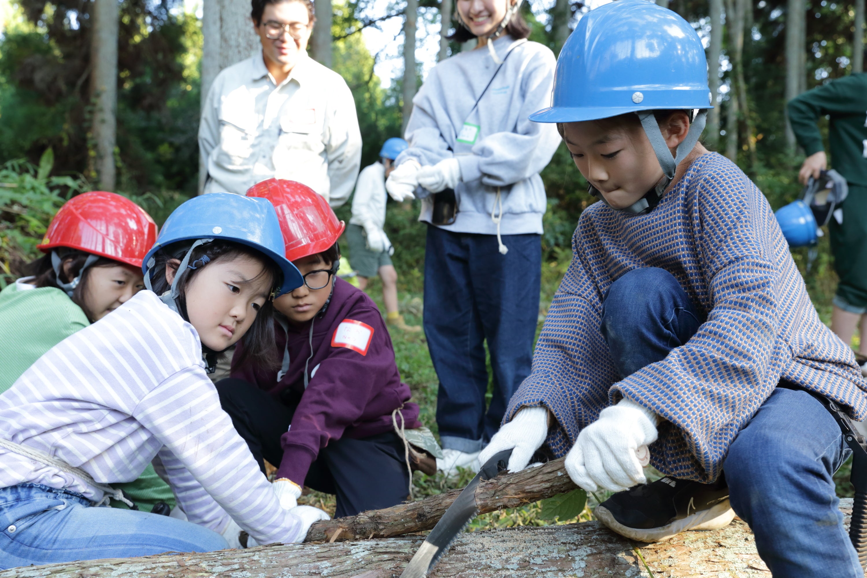 のこぎりを使い、木の枝を切る体験