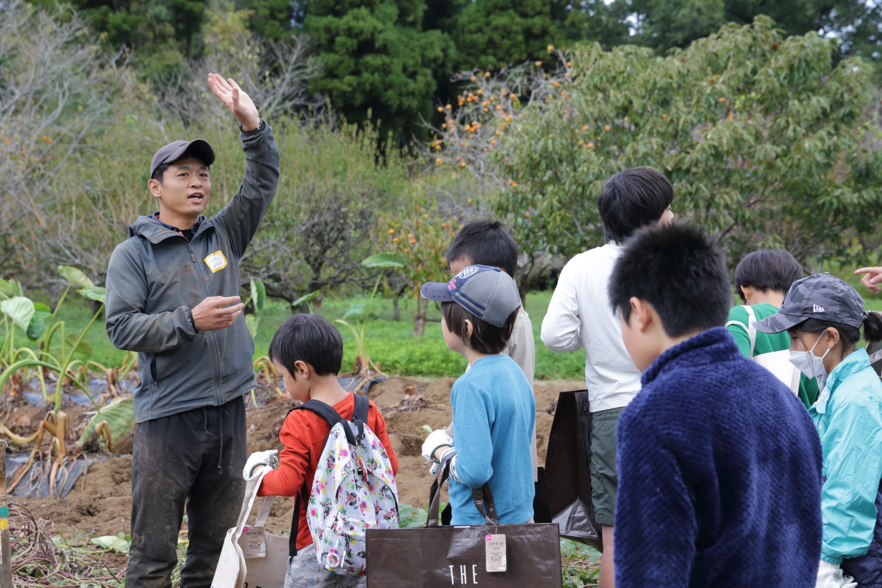 収穫体験を通じて有機農法について学ぶ