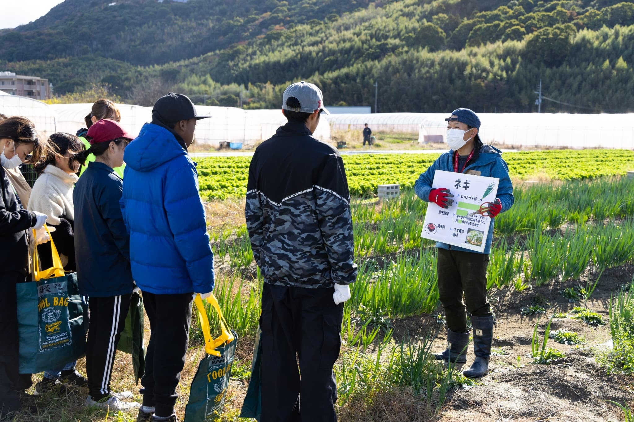 野菜の品種や育ち方などを学ぶ